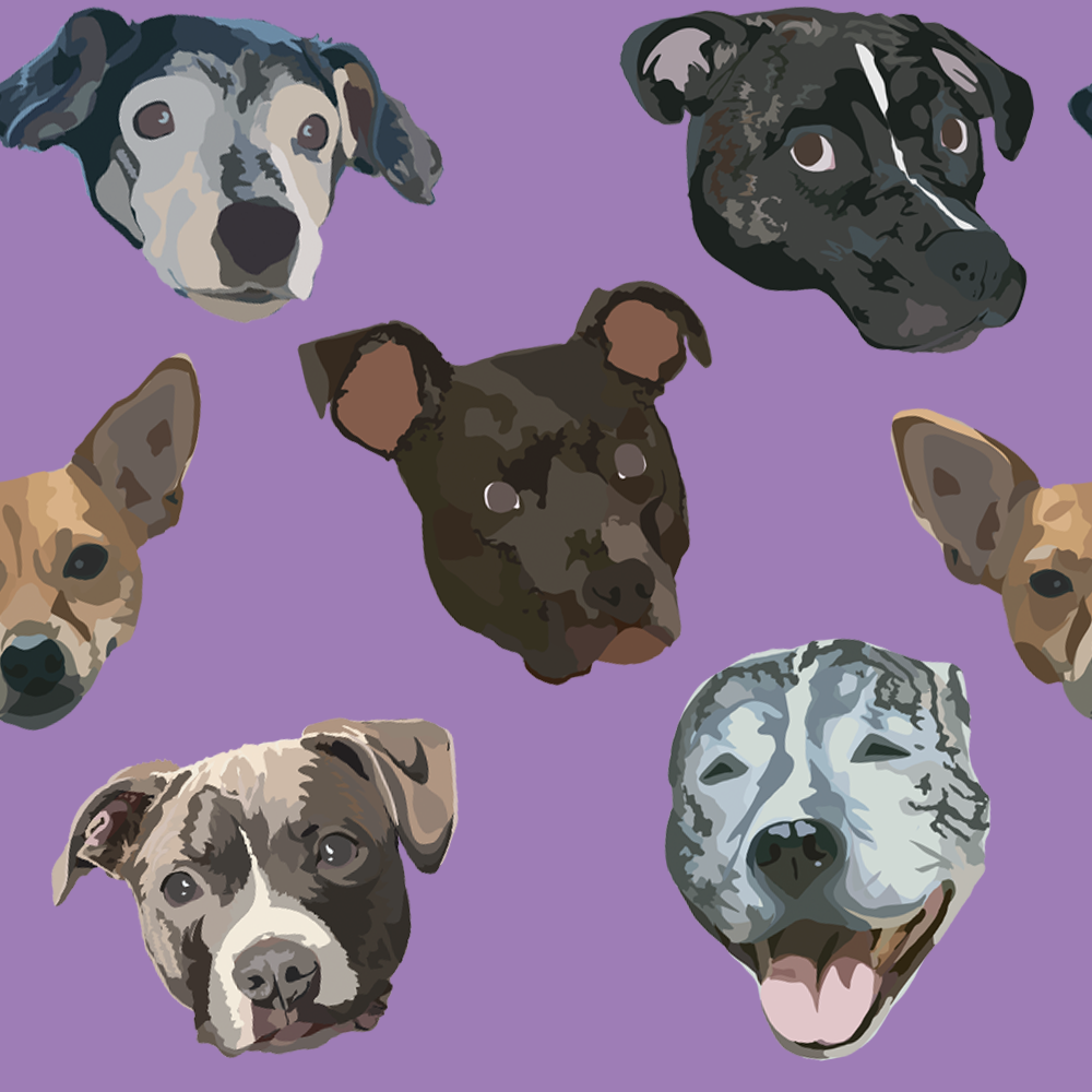 kv.pattern3.png