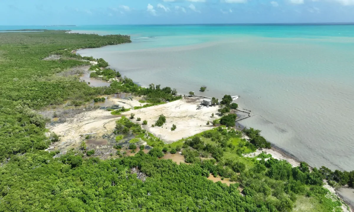 DJI_0136-1200x720.jpg.webp