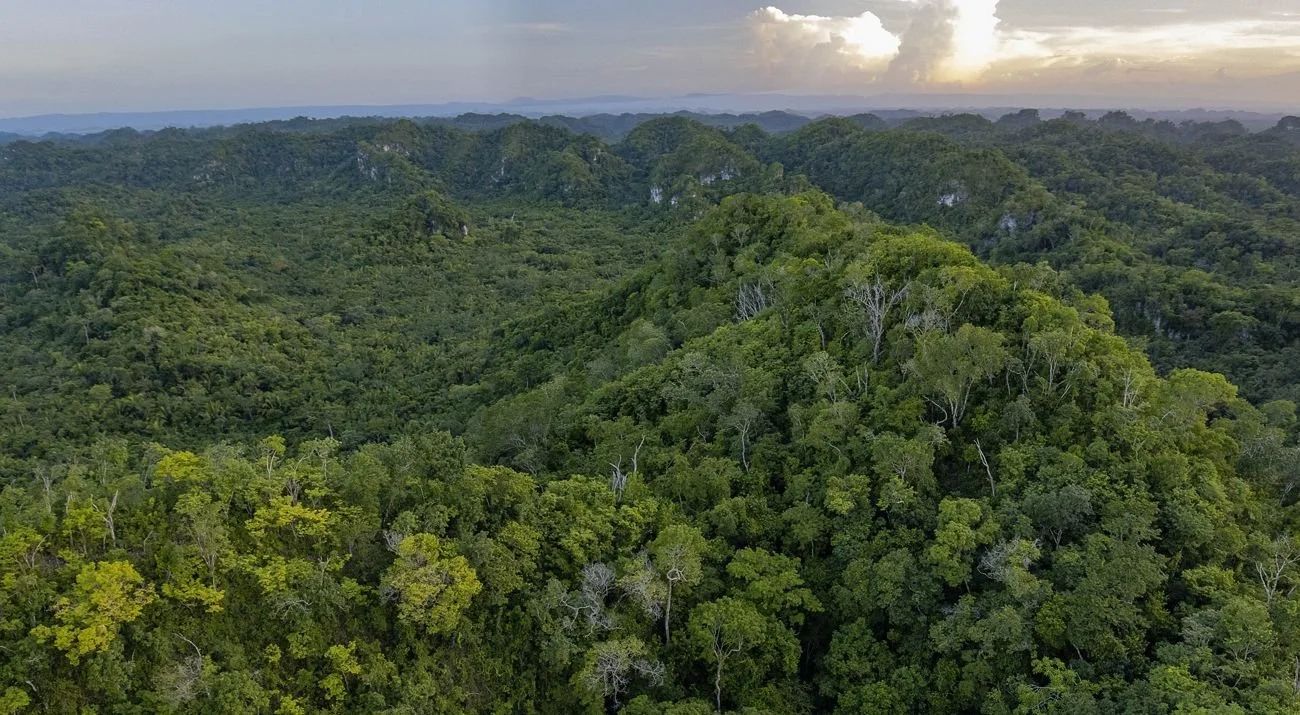 Main = Jungle.                                              562 acres of highland canopy.