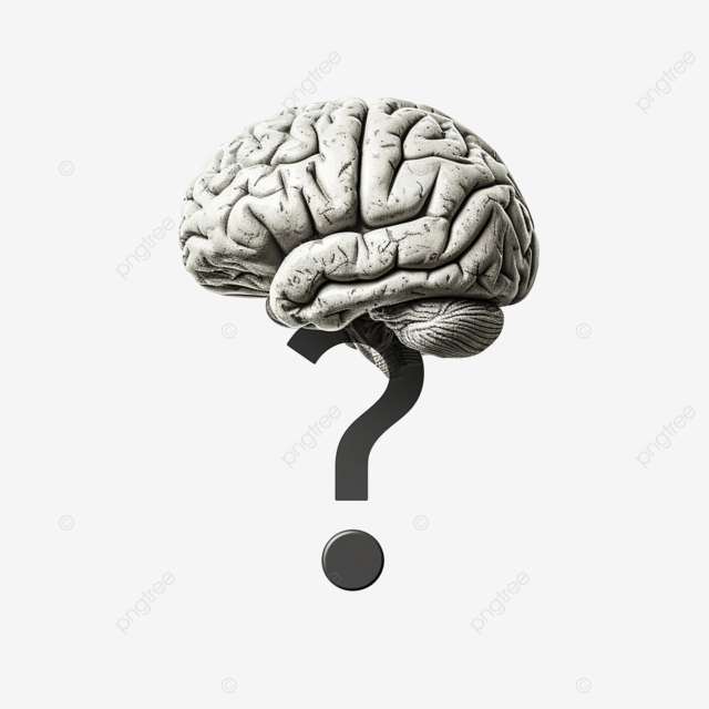 Icon: TNIC practice exam quiz