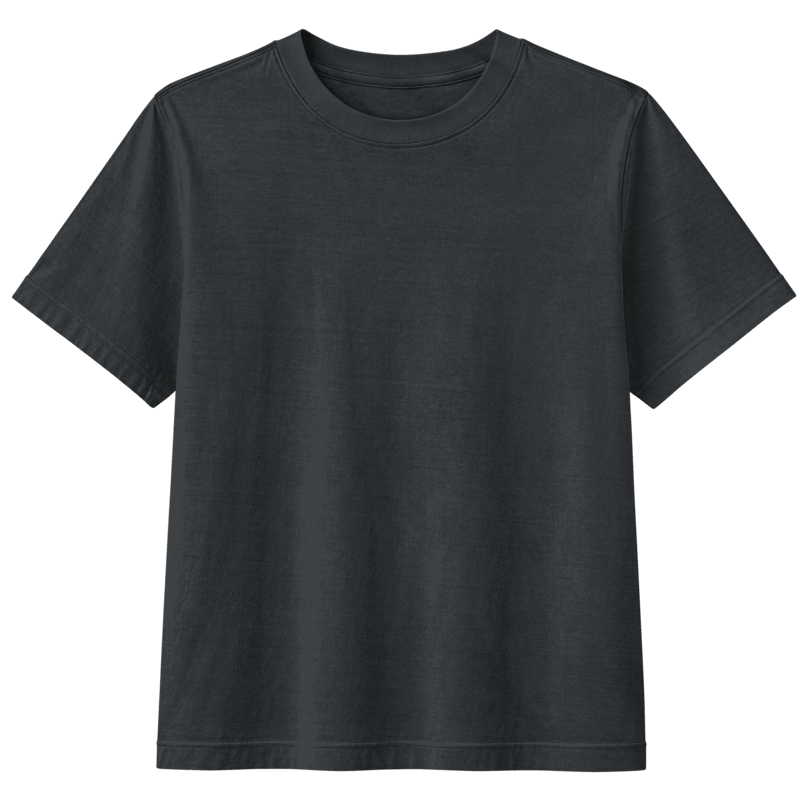 naiya republic Lion Tee front.png