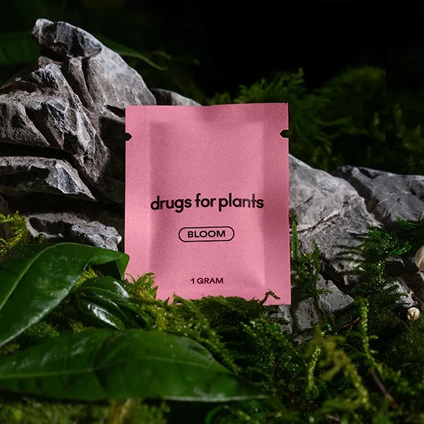 Drugs for Plant Bloom.webp