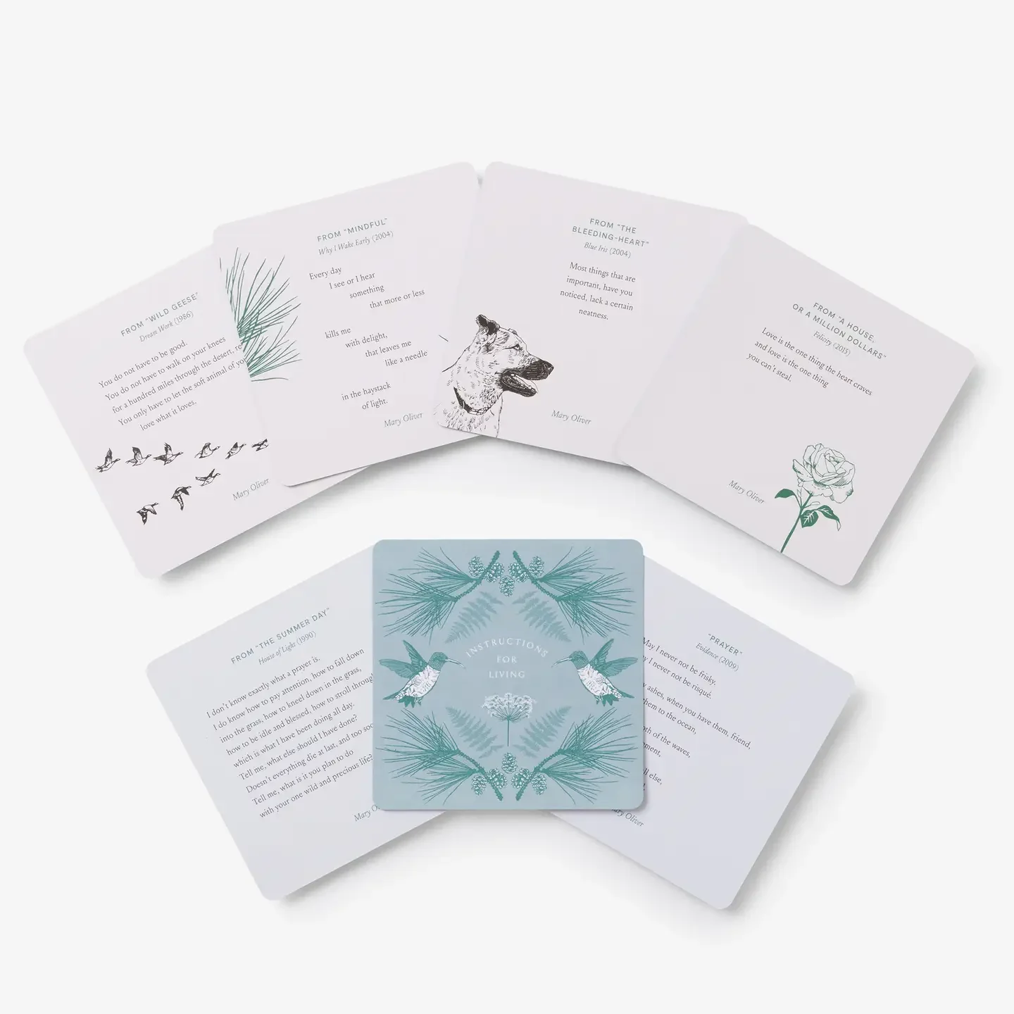 Instructions For Living Cards.webp
