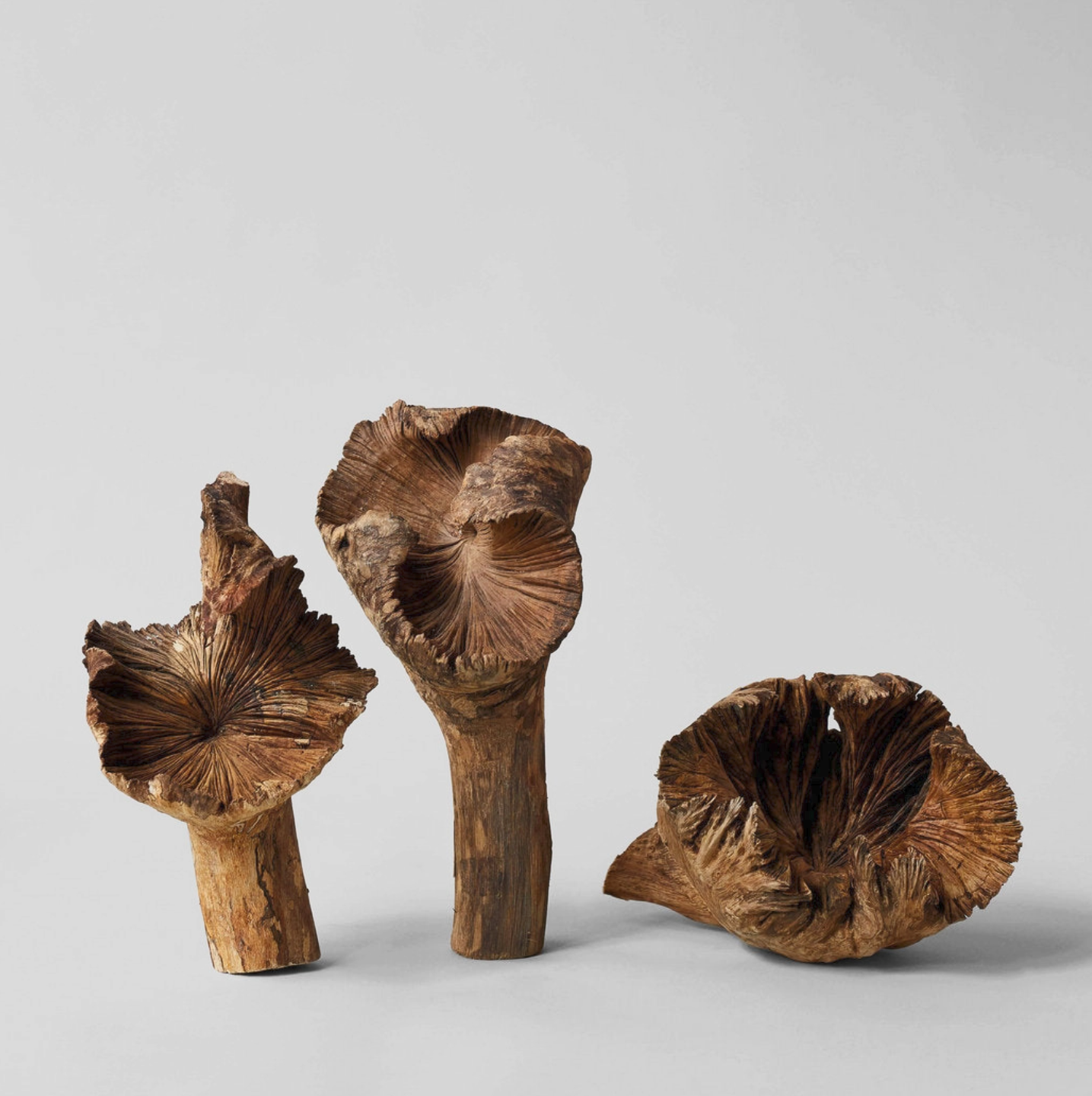 wood flowers.png