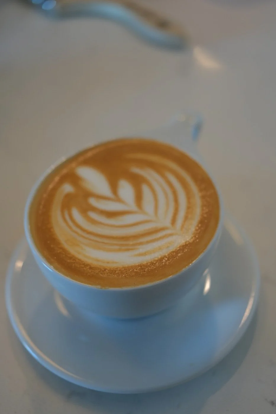 A cup of latte with leaf latte art on top, sitting on a white saucer on a light-colored table.