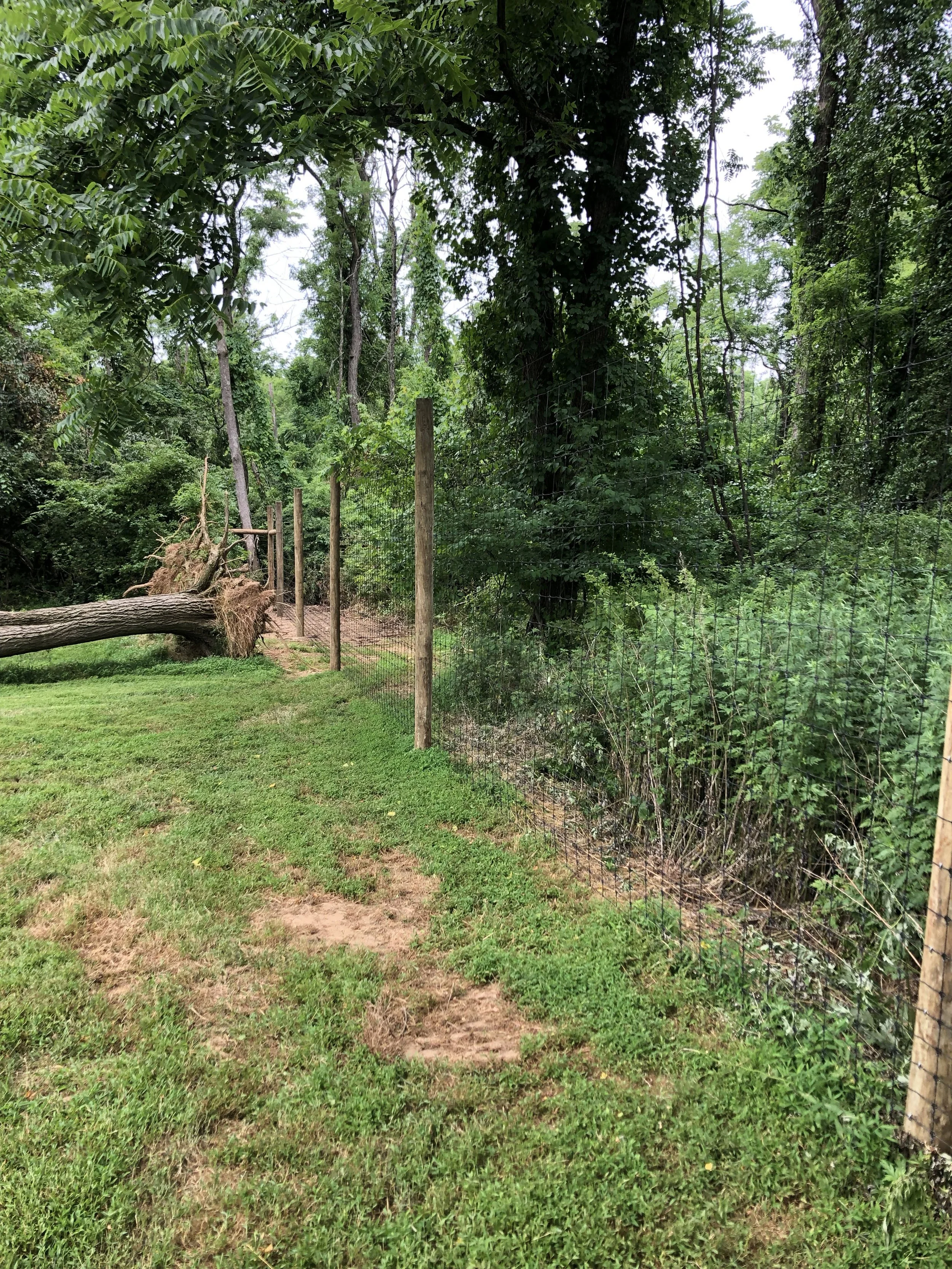 DeerFence_1.jpg