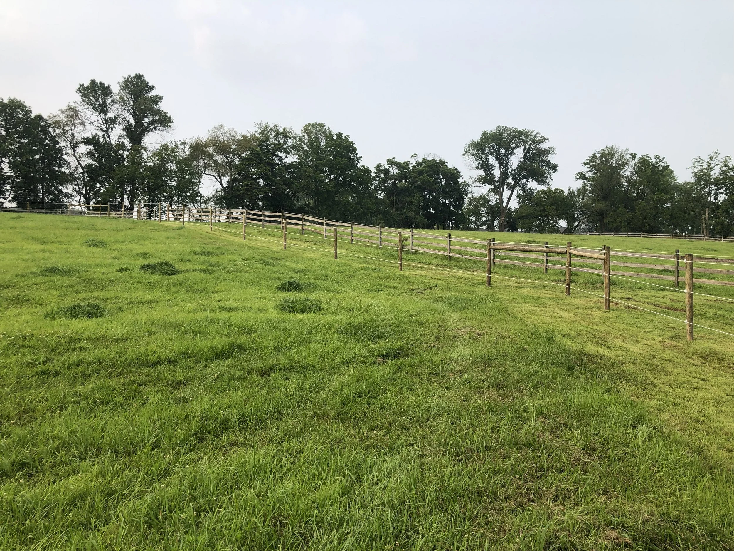 AgriculturalFence_1.jpg
