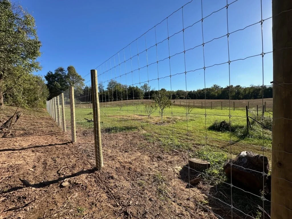 Deer-Fence-Woven-Wire-1024x768.jpg