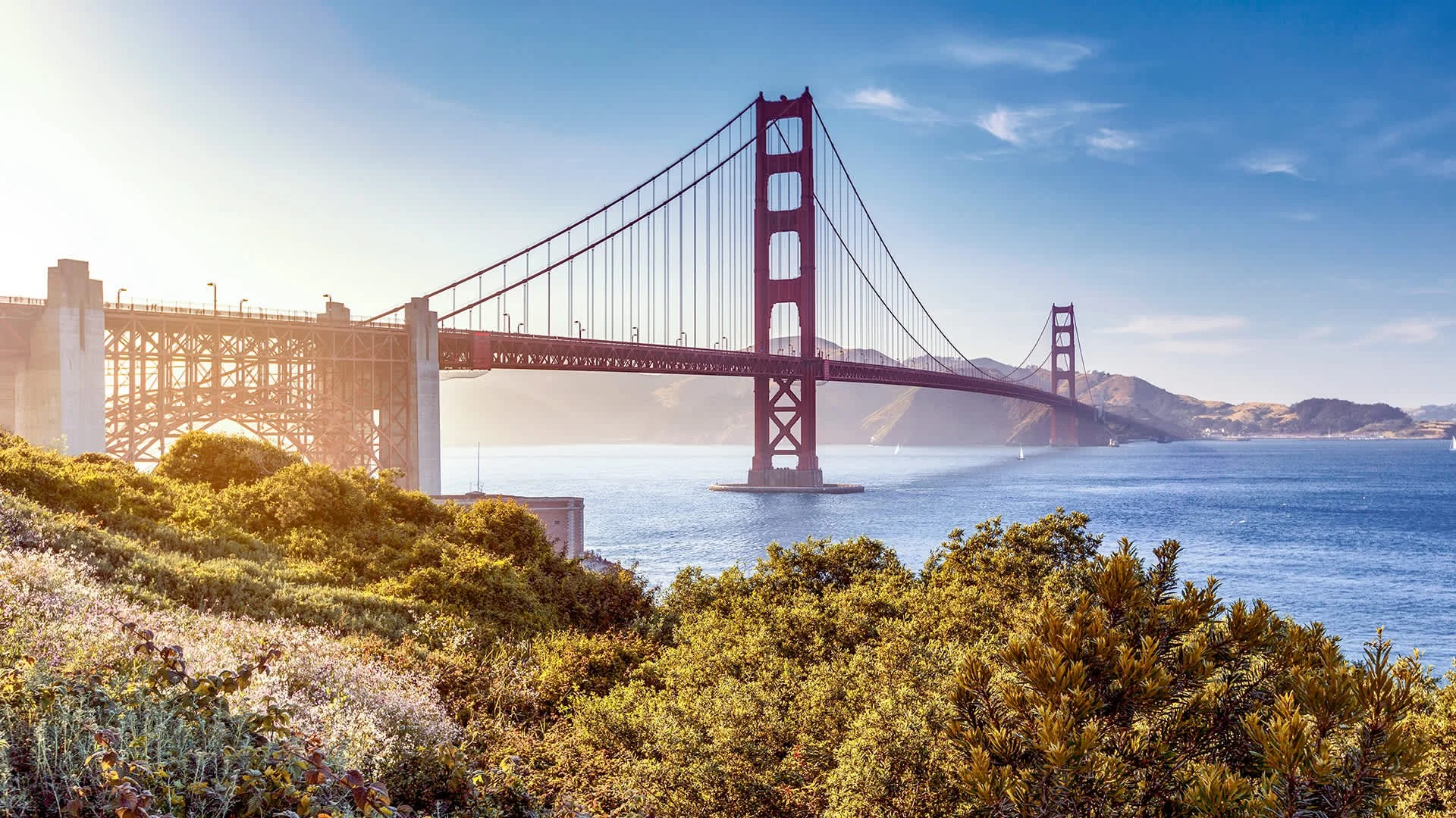 Photo of the Golden Gate Bridge in San Francisco, California, with lush green foliage in the foreground and clear blue sky above.