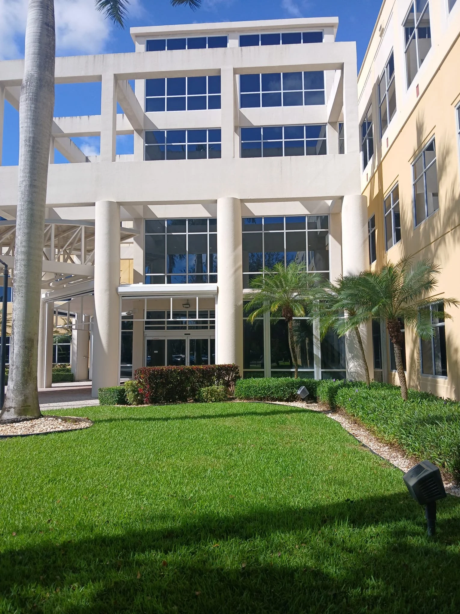A modern building with large glass windows, surrounded by palm trees and a well-maintained grassy area with small bushes.