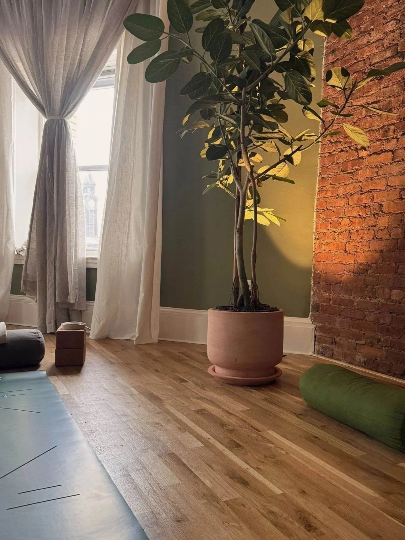 A corner of the studio: sheer curtains at a bright window, a ficus tree in a terracotta pot against a sage green wall, exposed brick, and an unrolled mat with a bolster and cork blocks on a light wood floor.