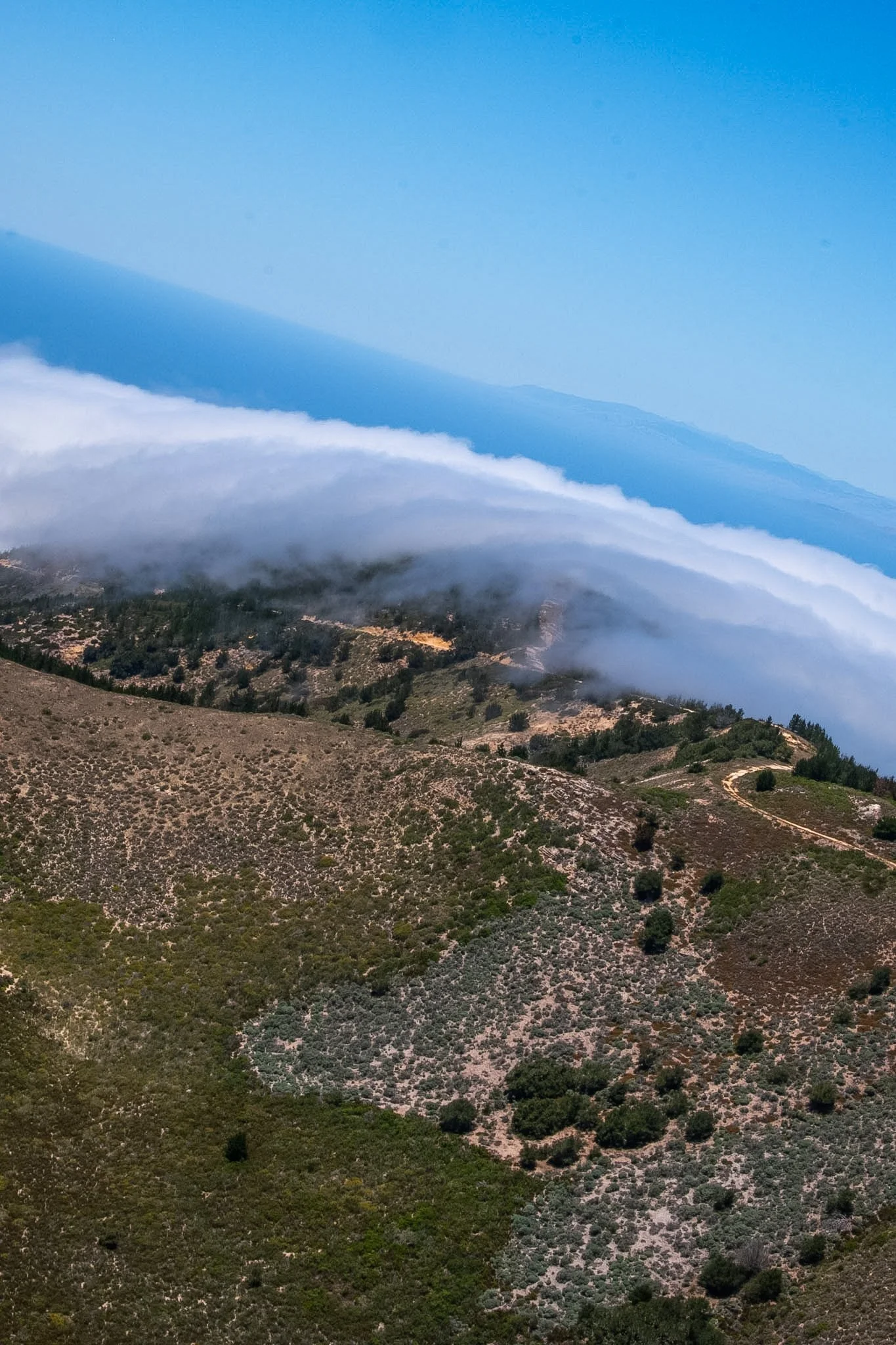 A landscape view of a mountain with clouds at its base and a clear blue sky above, showing trees and rocky terrain in the foreground.