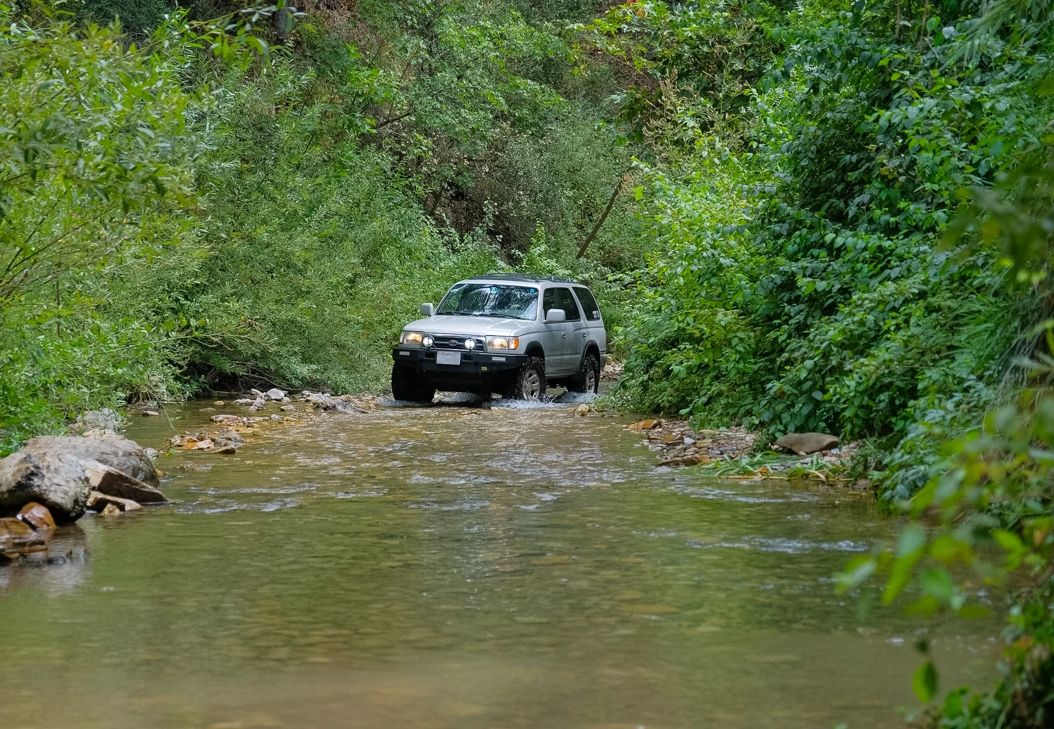 Silver SUV driving through a shallow creek surrounded by dense green foliage.