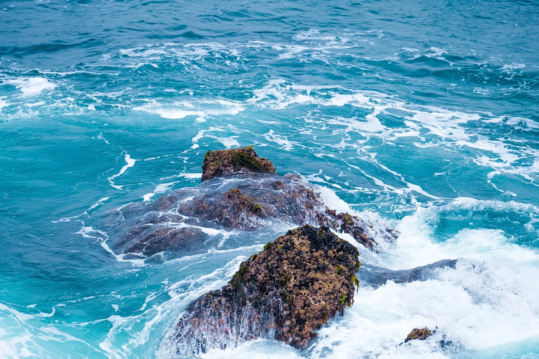 Ocean waves crashing against rocks with seaweed.