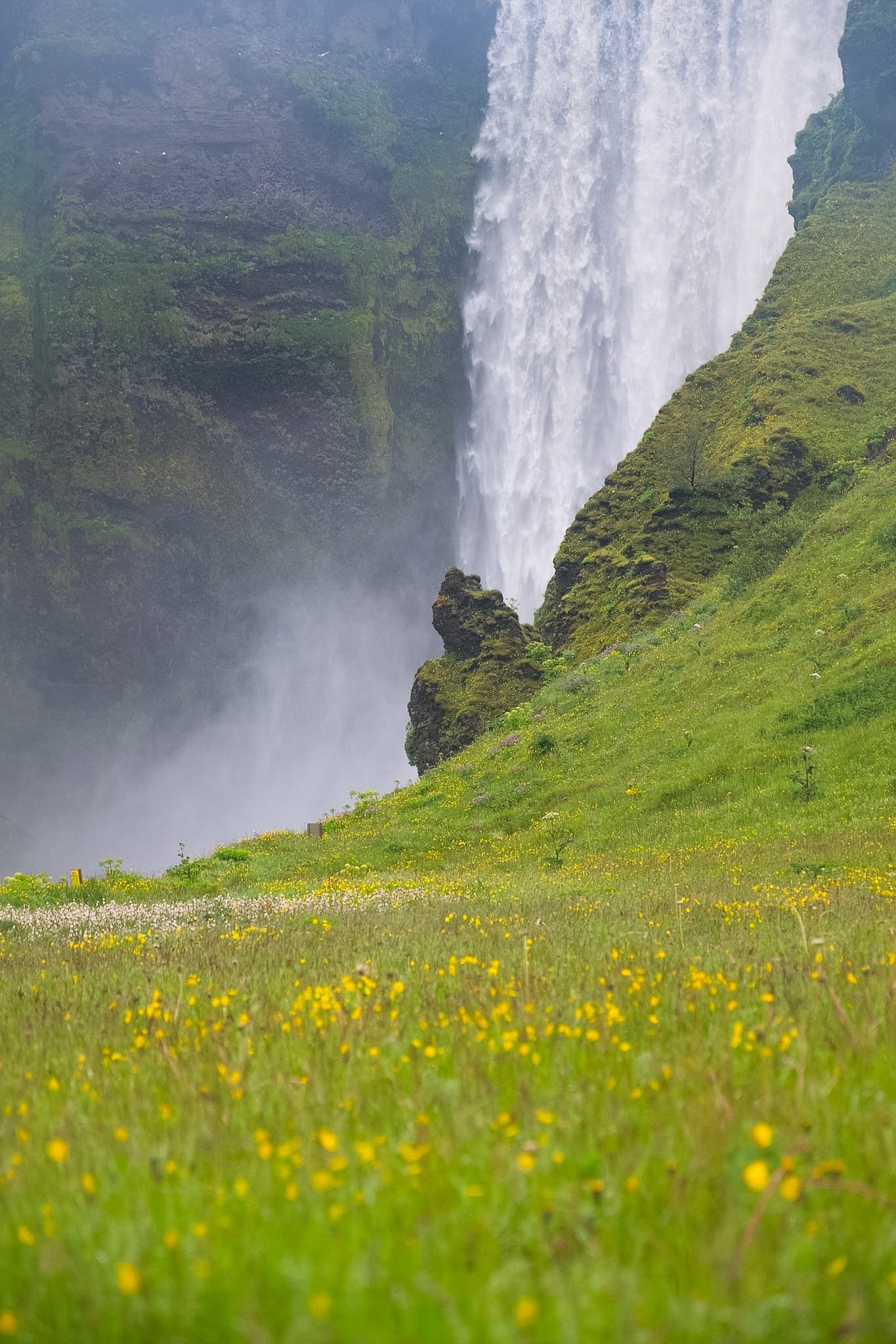 A large waterfall cascading down a moss-covered cliff surrounded by lush green hills and a meadow filled with yellow flowers.