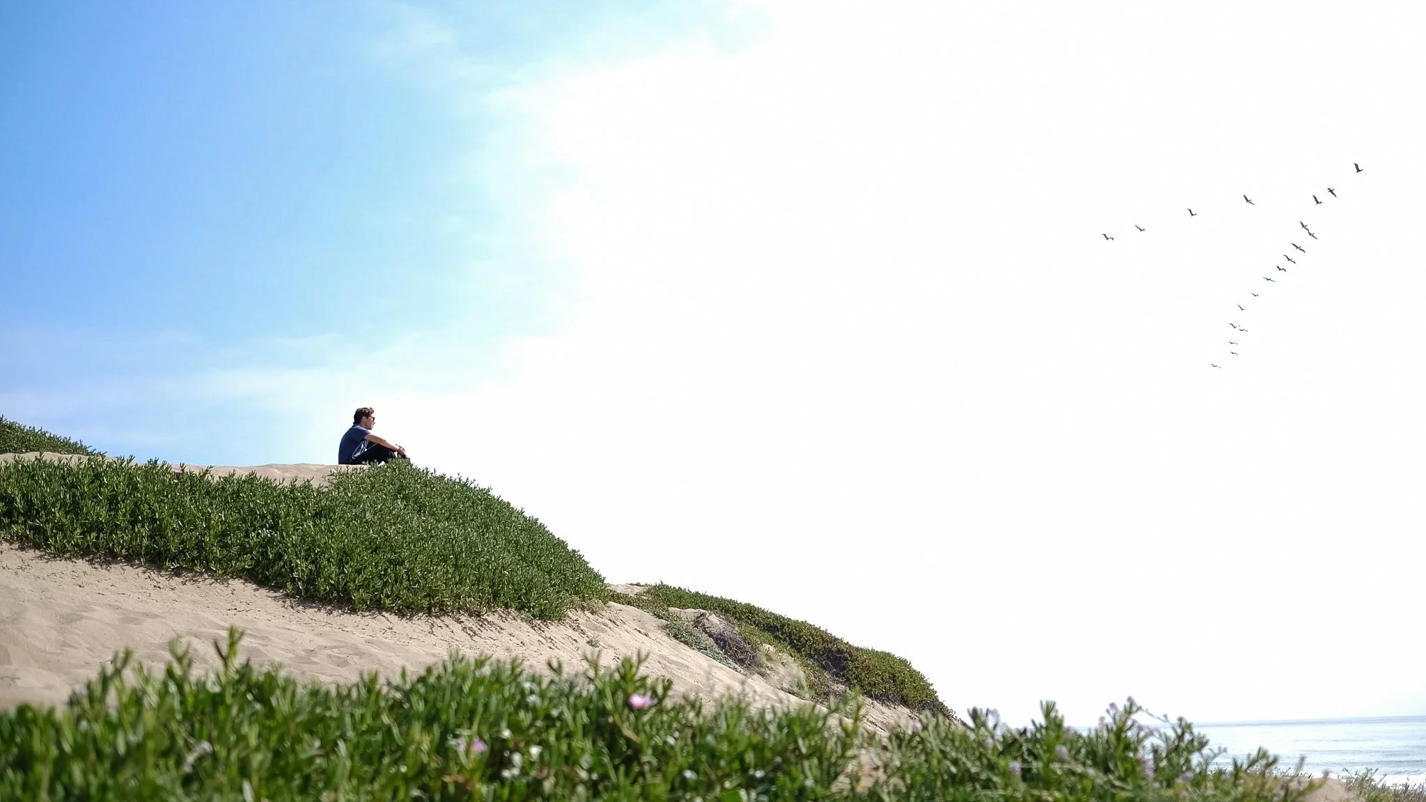 Person sitting on a grassy sandy hill, facing away, with a flock of birds flying across a bright sky in the background.