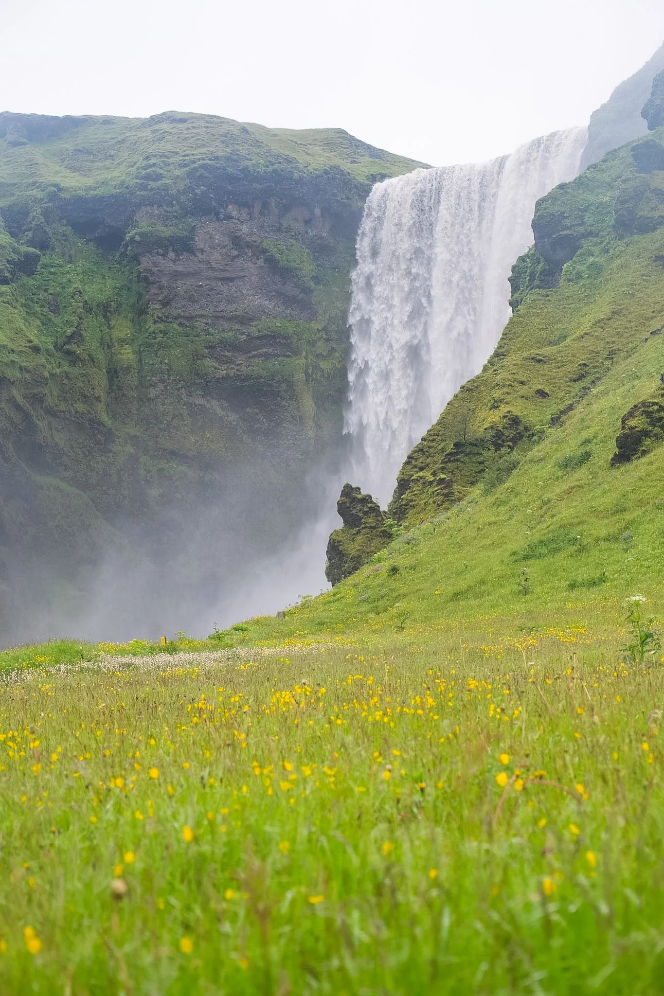 A green meadow with yellow flowers in the foreground, a waterfall in the background, surrounded by lush green hills.