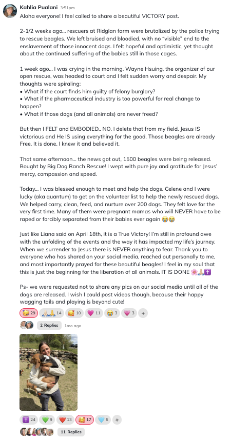 kahlia-pualani-beagle-rescue-victory-liana-shanti.png