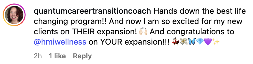 quantumcareertransitioncoach-life-changing-program-hmi-wellness.png