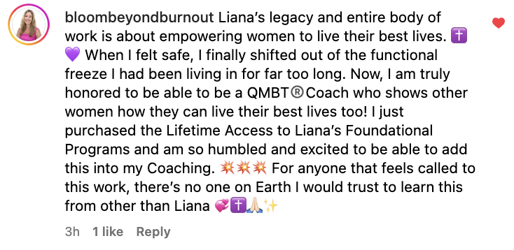 bloombeyondburnout-career-pivot-hmi-wellness.png