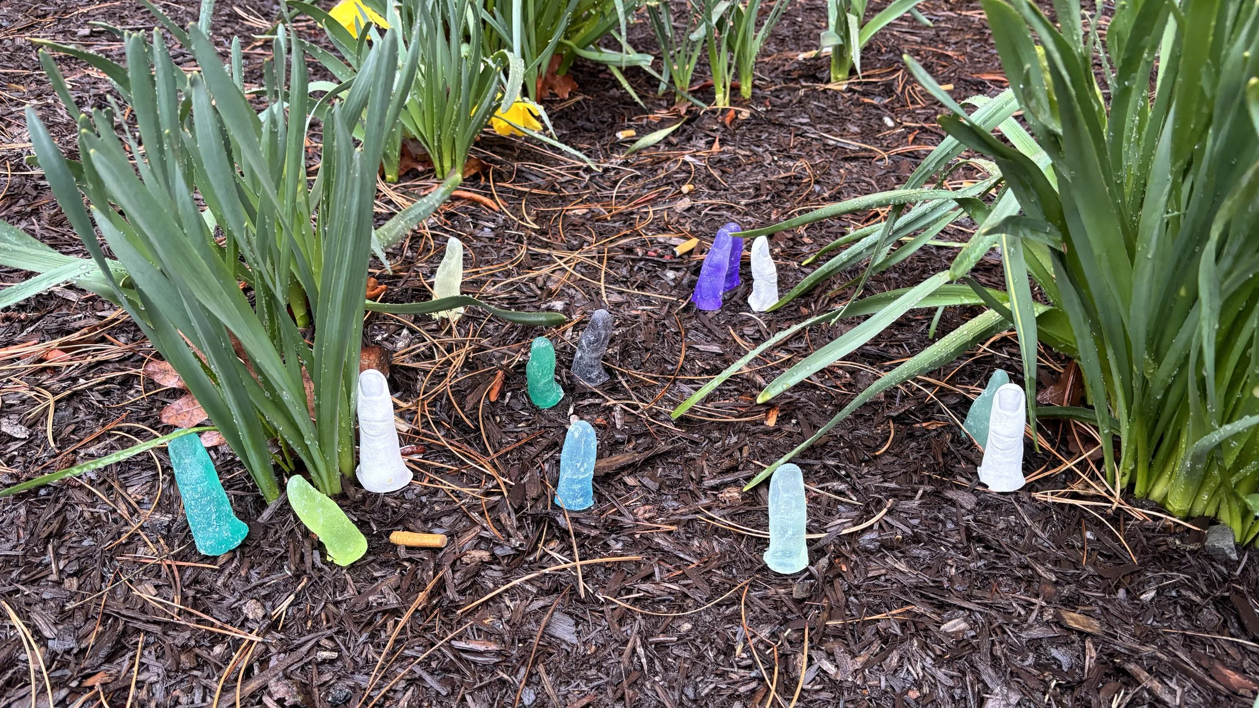 IMG_0330.JPG