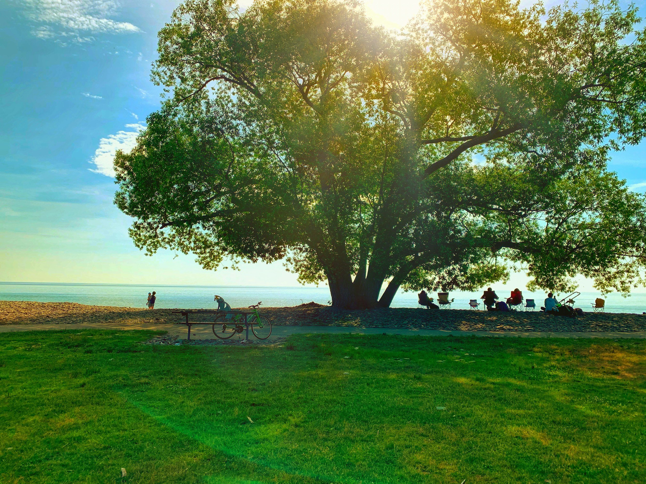 Cornation park in Oakville waterfront