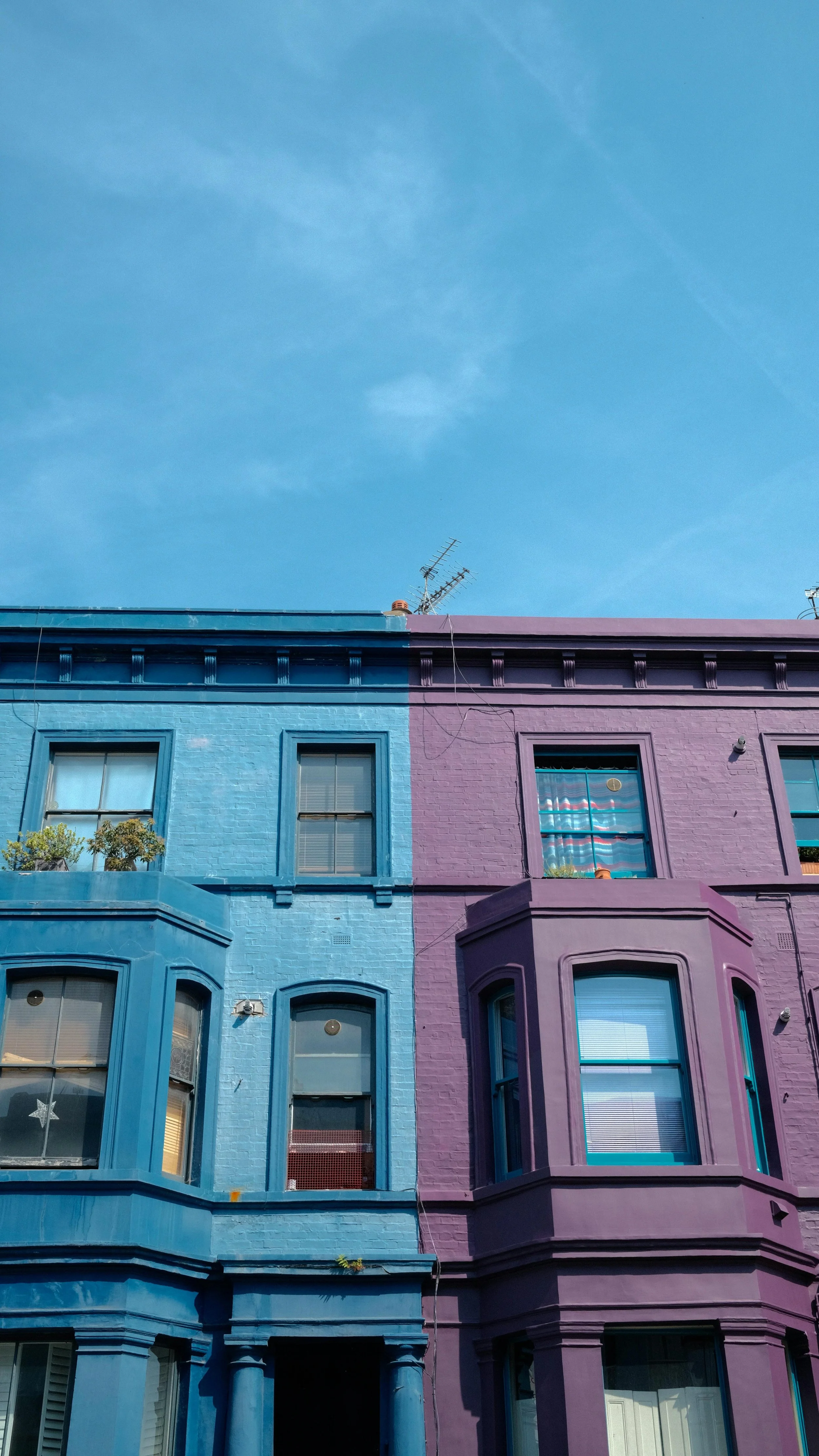 Colorful row houses painted in bright blue and purple with large bay windows, small plants on the blue house's balcony, and a clear blue sky above.