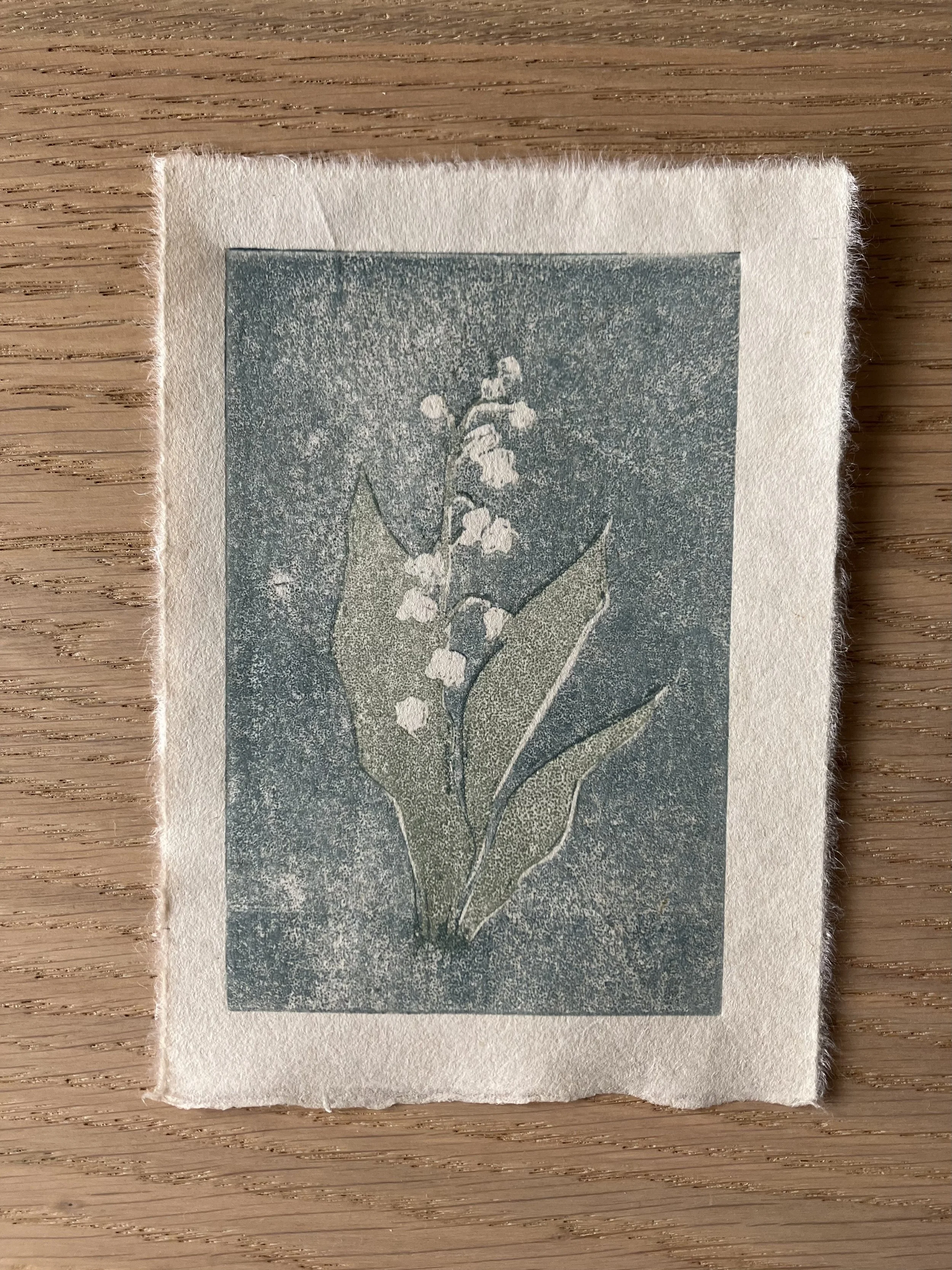 A woodcut depicting a lily of the valley flower on a blue background.