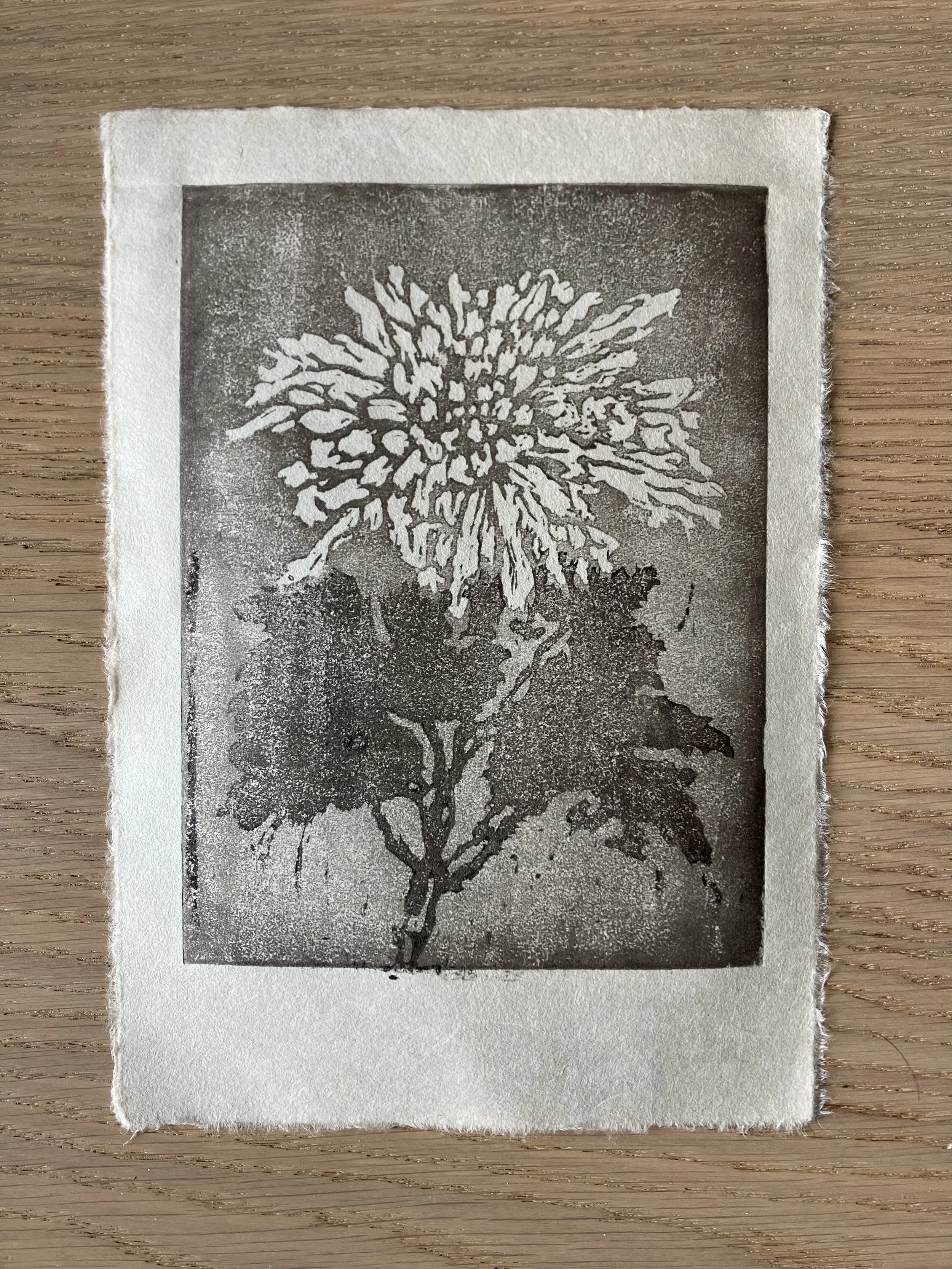 Black-and-white woodcut of a chrysanthemum flower.