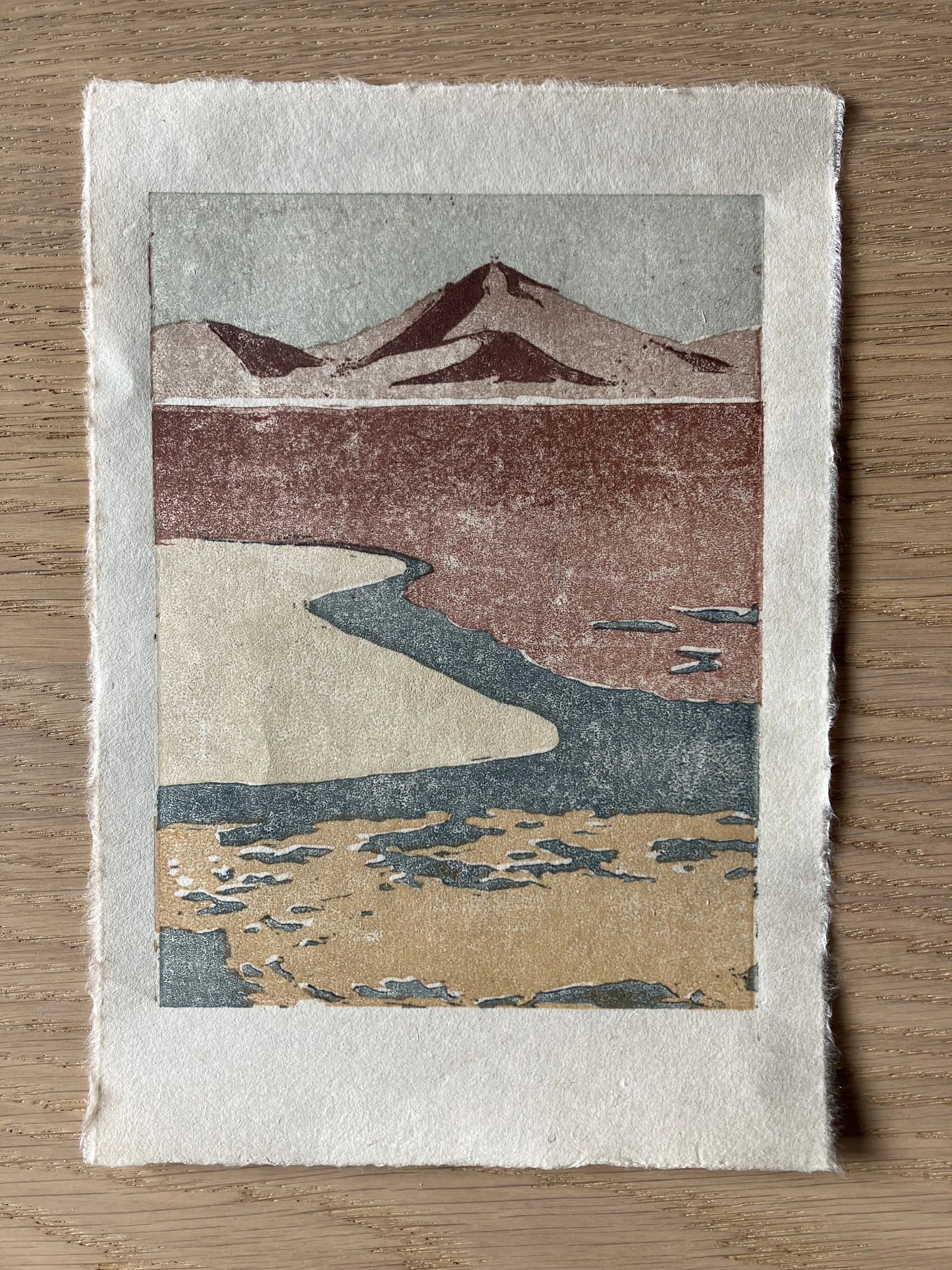 A woodcut depicting Laguna Colorada, a high-altitude lake in Bolivia.