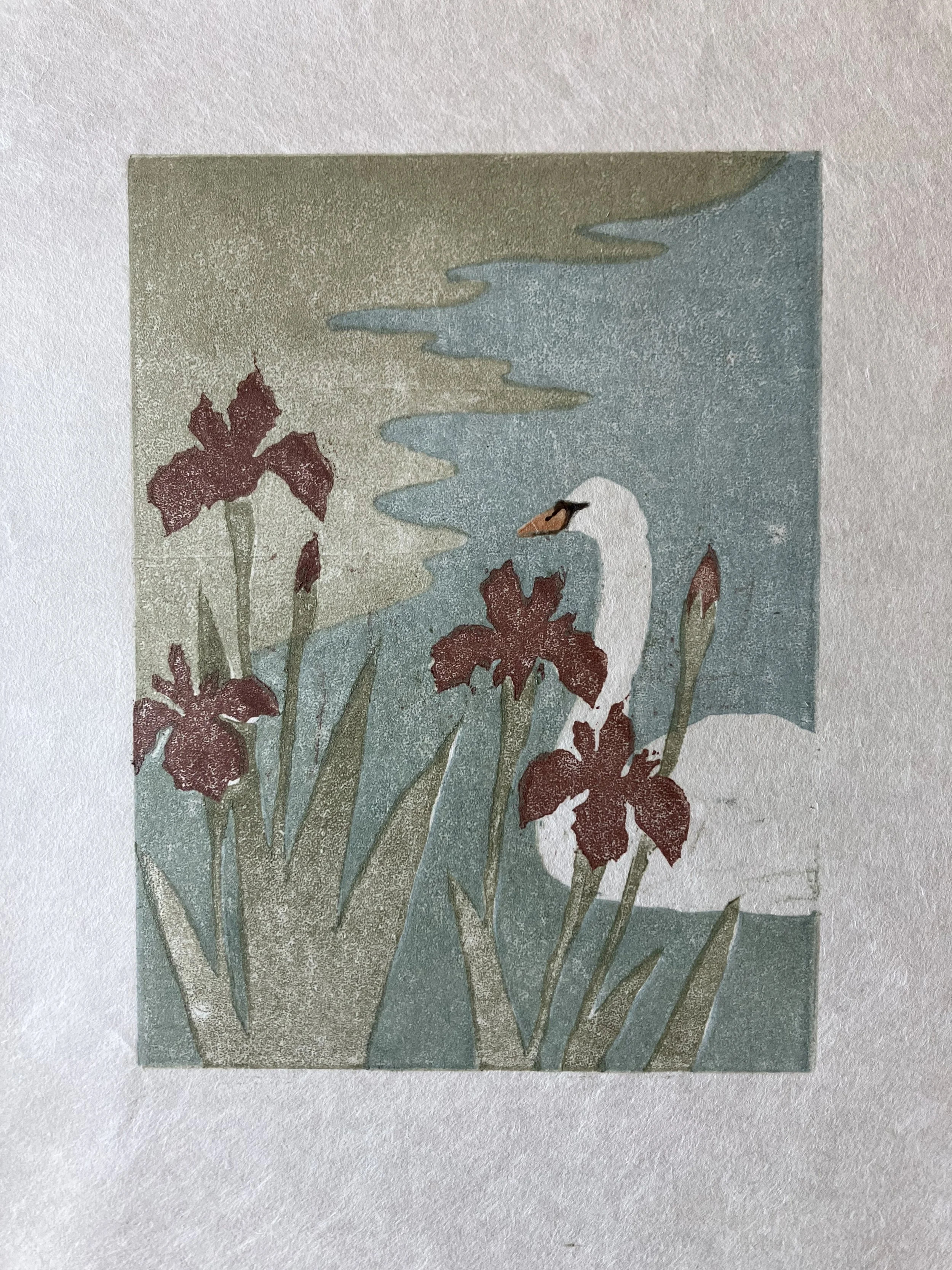 A color woodcut of a white swan among irises on a pond.