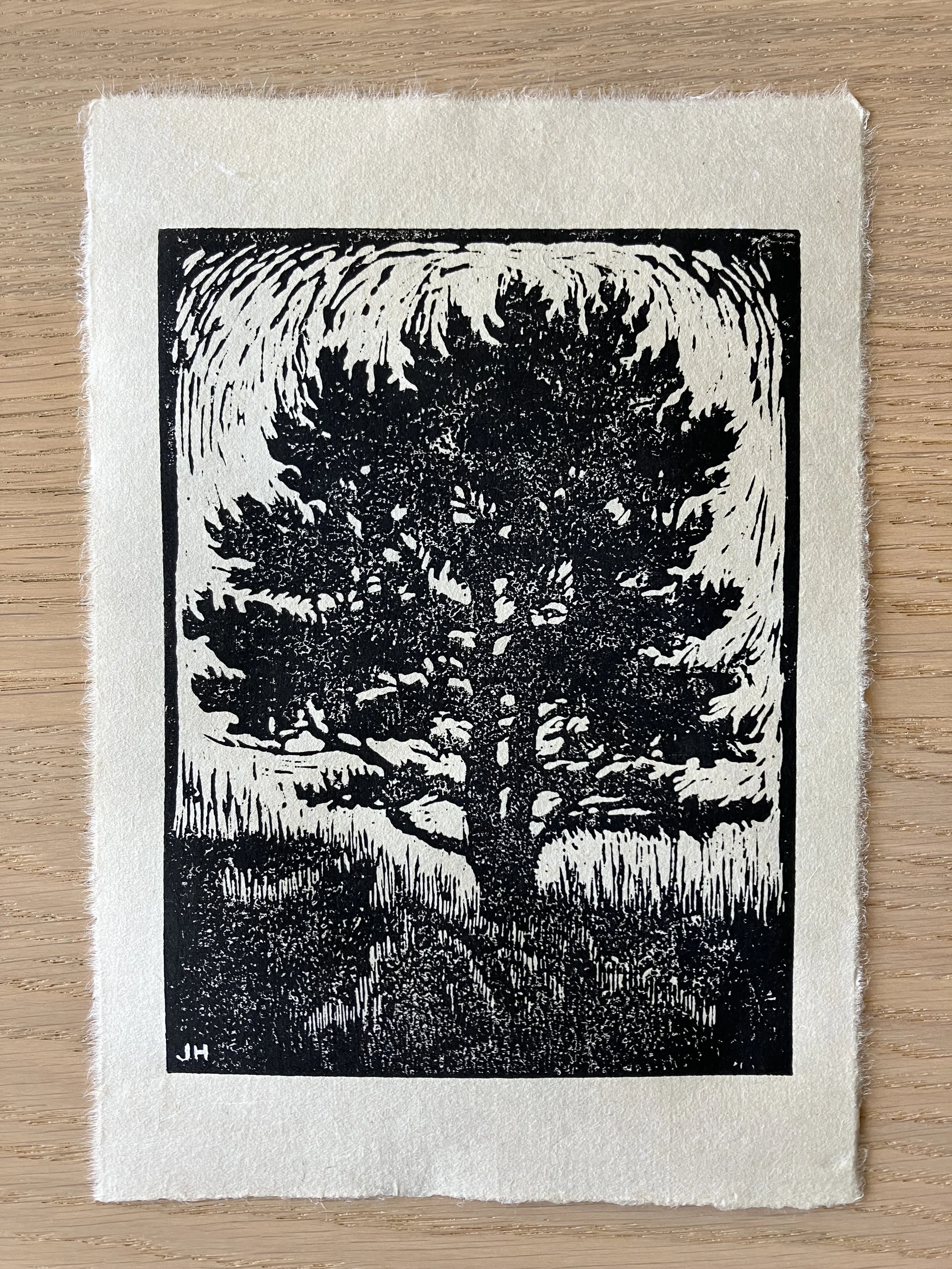 Black-and-white woodcut of a windswept pine tree.