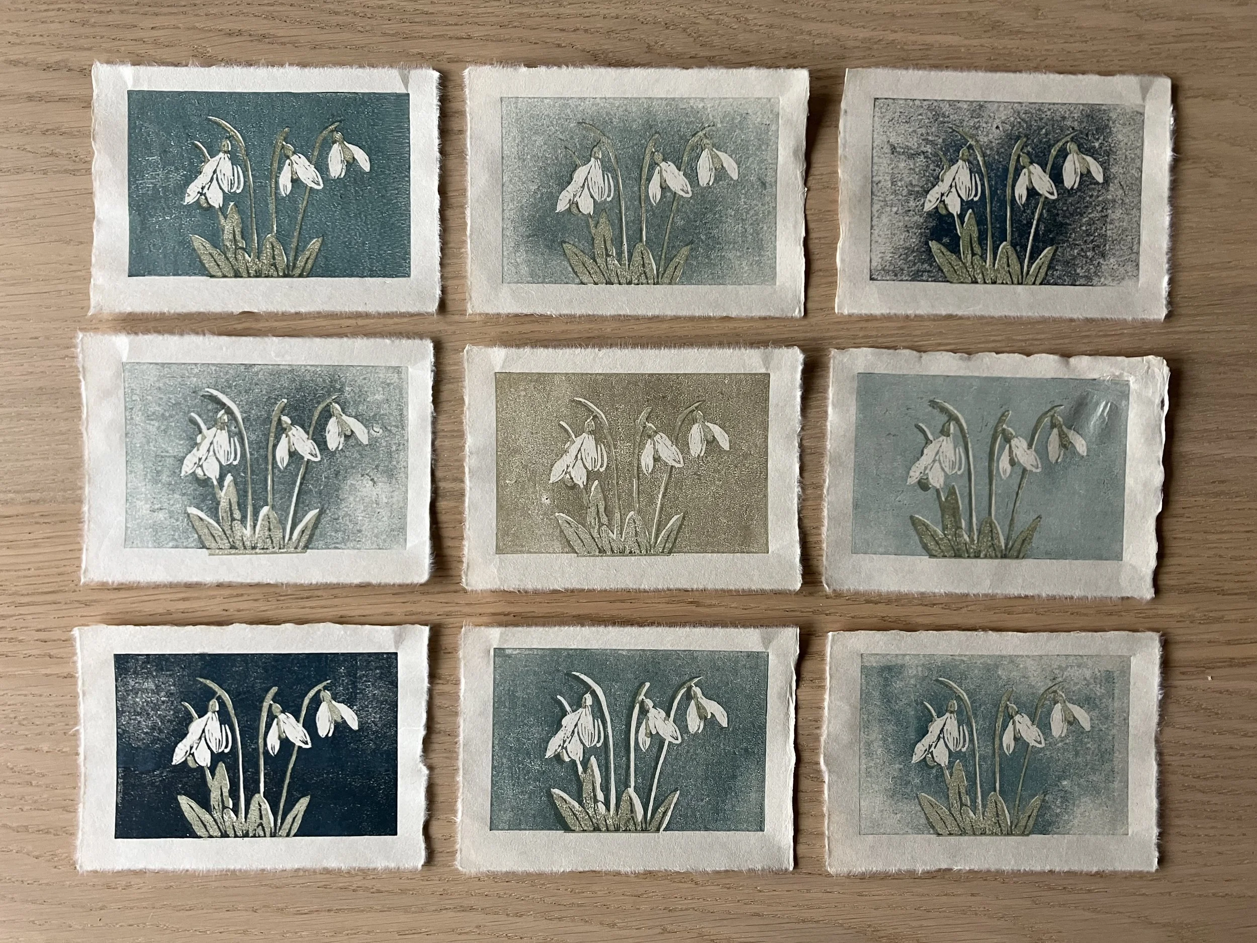 A series of nine woodcut prints depicting snowdrop flowers, each with different background colors.