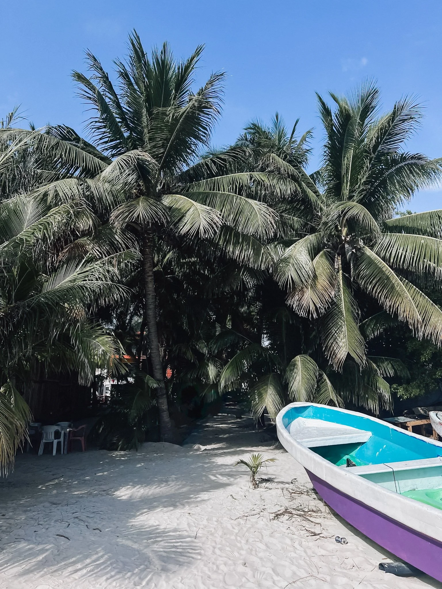 Beach scene with a boat in the foreground, palm trees in the background, and clear blue sky.