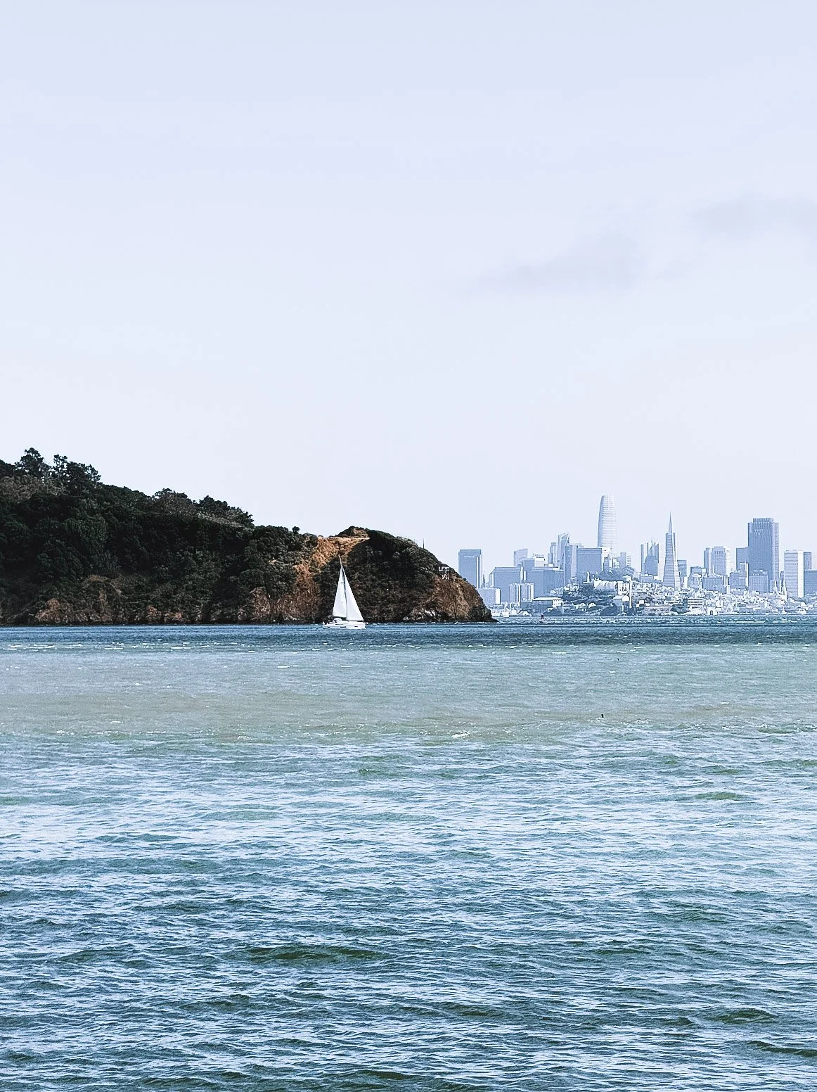 A sailboat on the water near a forested coastline with a city skyline in the background.