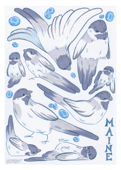 [SM] Chickadee & Blueberries Print