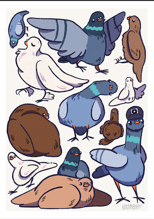 [SM] Playful Pigeons Print