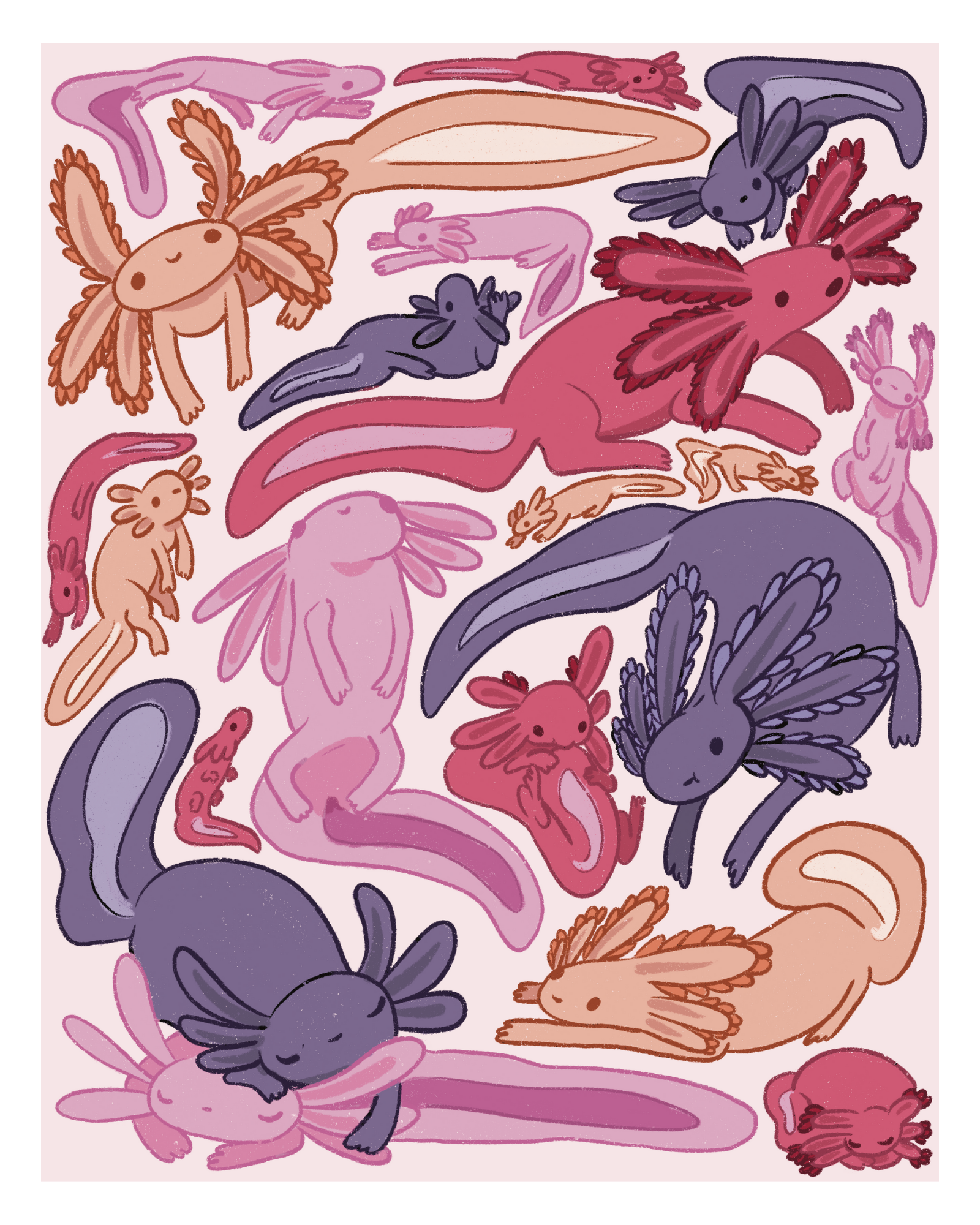 Assortment of Axolotls 