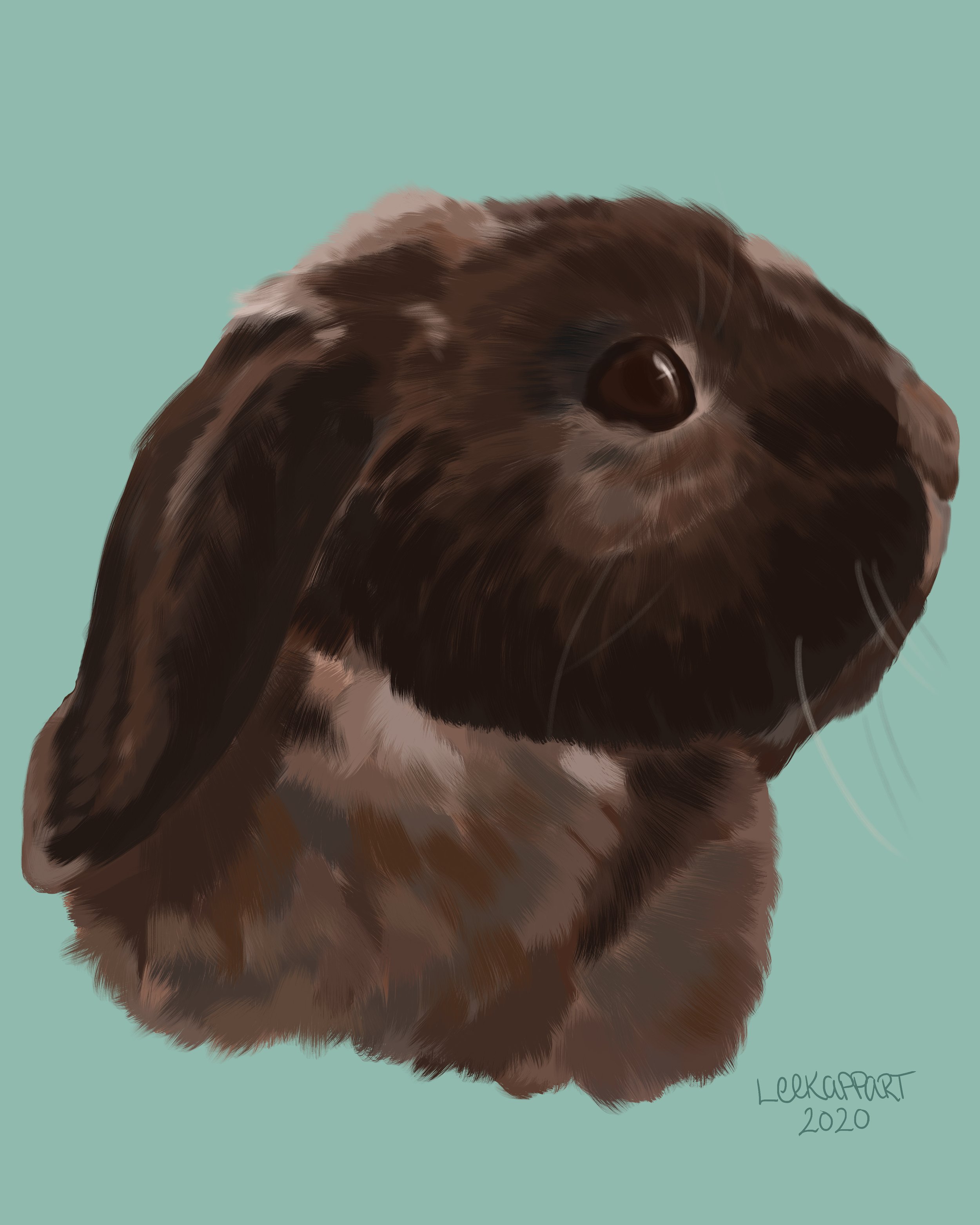 Popper, Digital