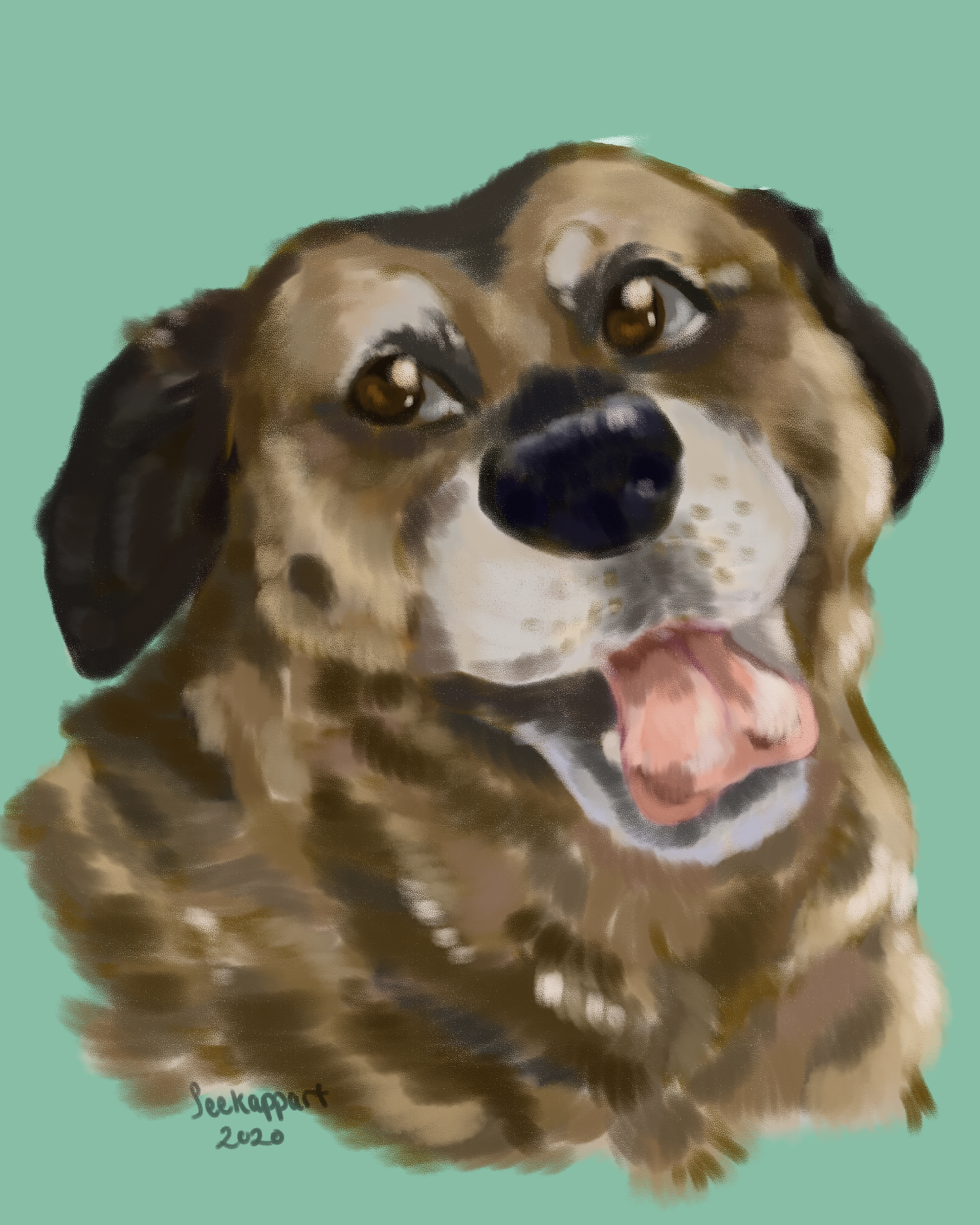 Echo, Digital