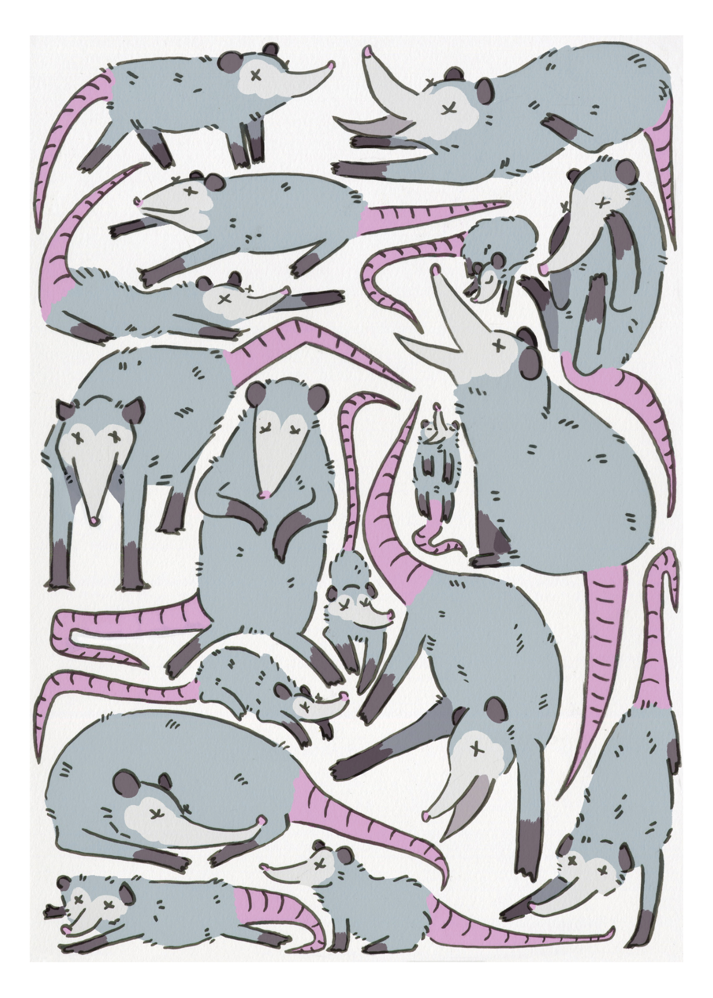 Only Opossums