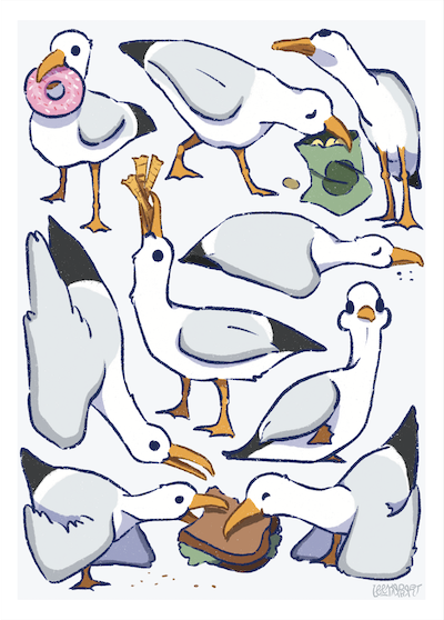 [SM] Seagulls & Snacks Print