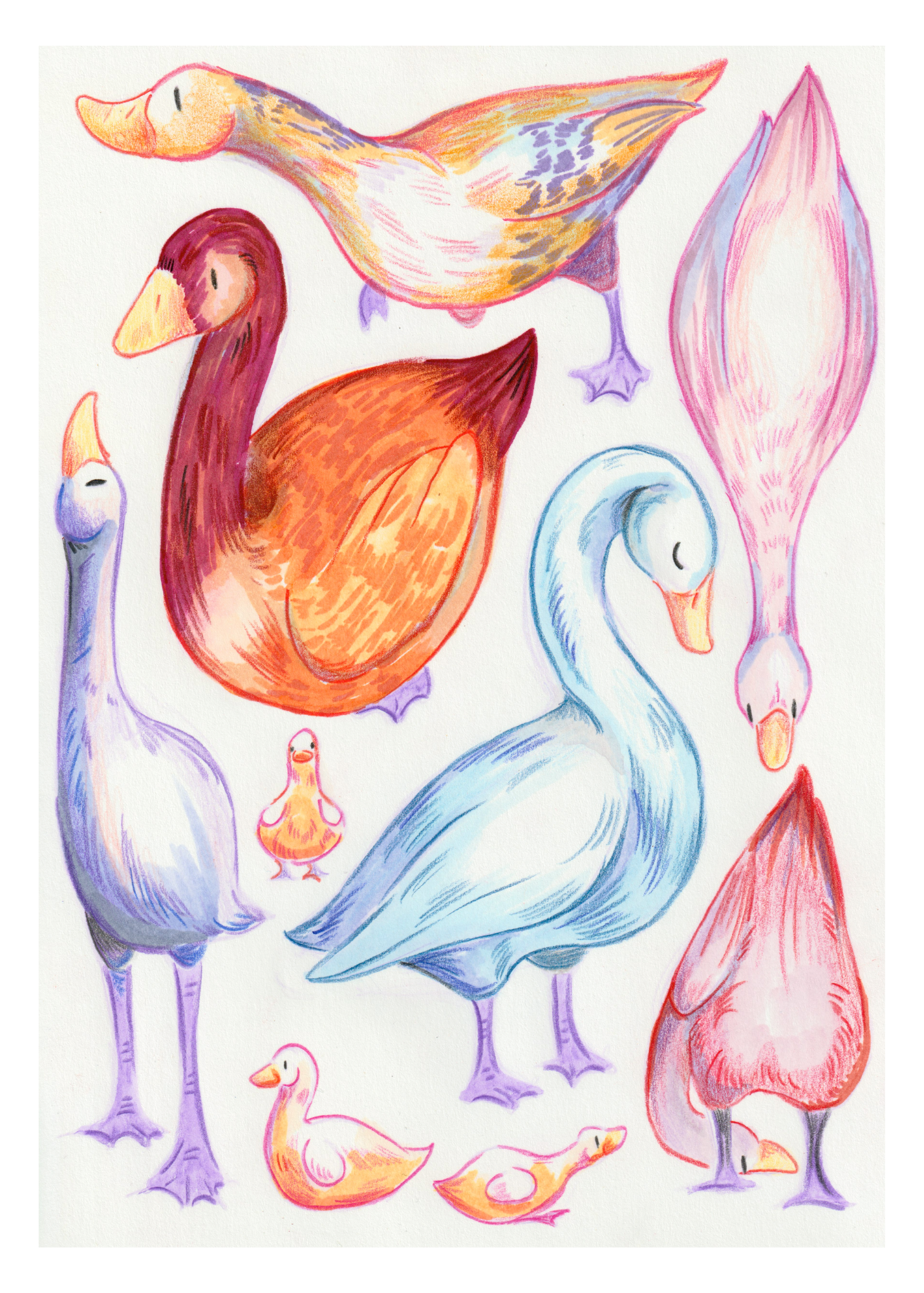 Goose Goose Goose