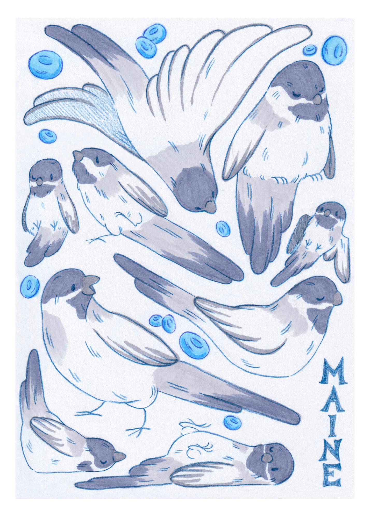 Chickadees & Blueberries