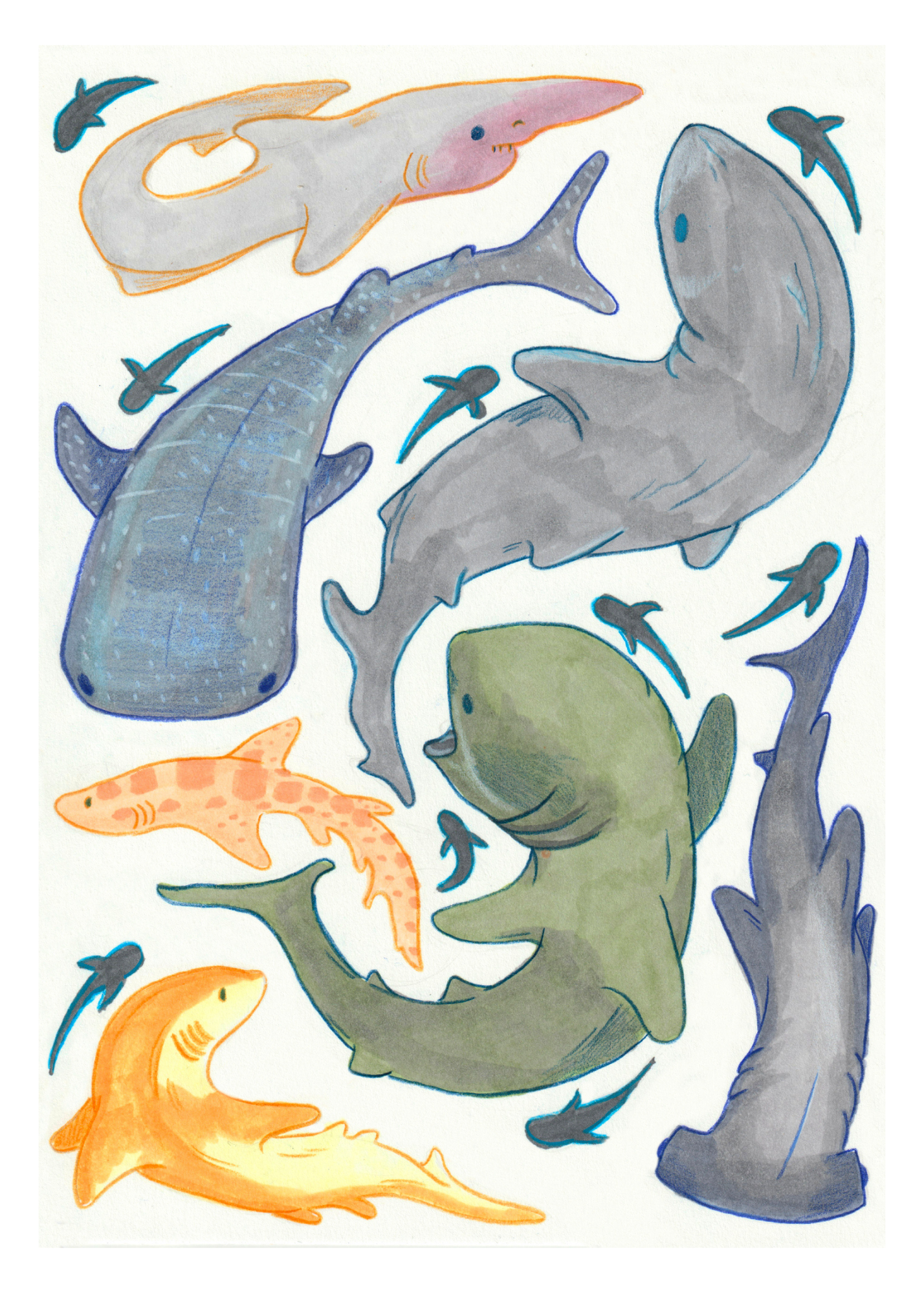 Sharks