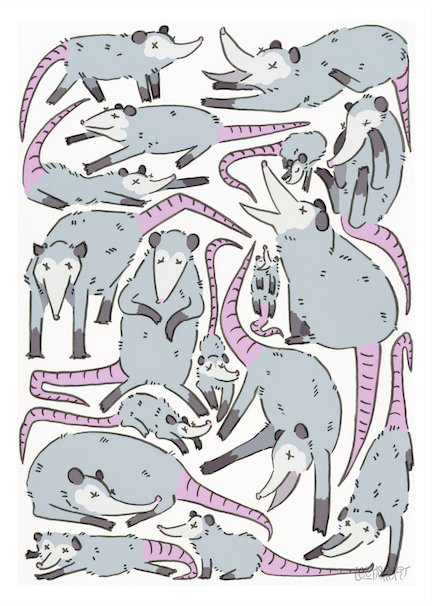 [SM] Only Opossums Print