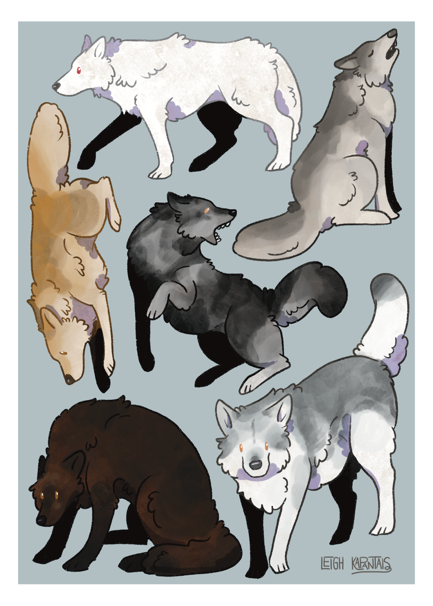 Dire Wolves