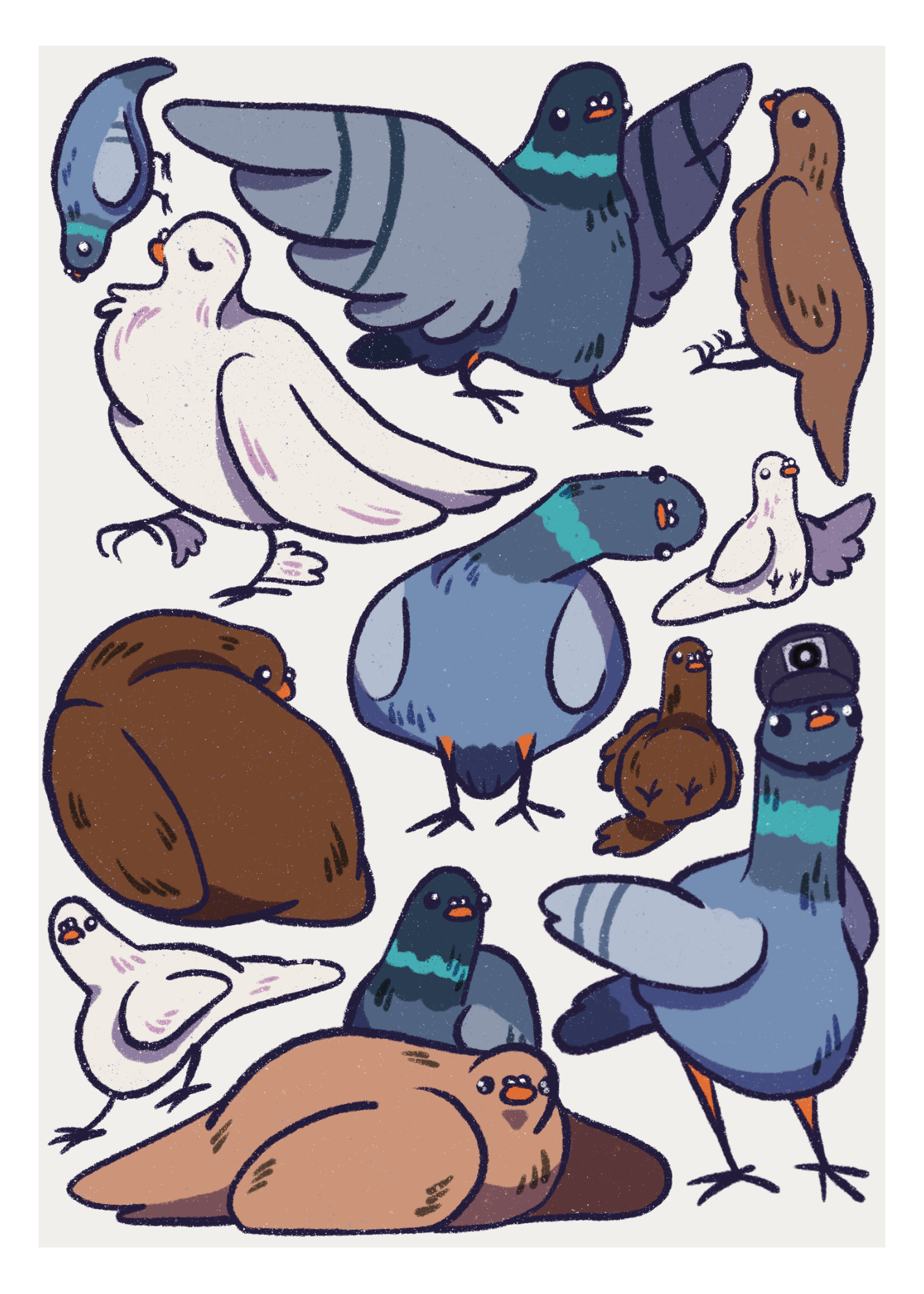 Playful Pigeons