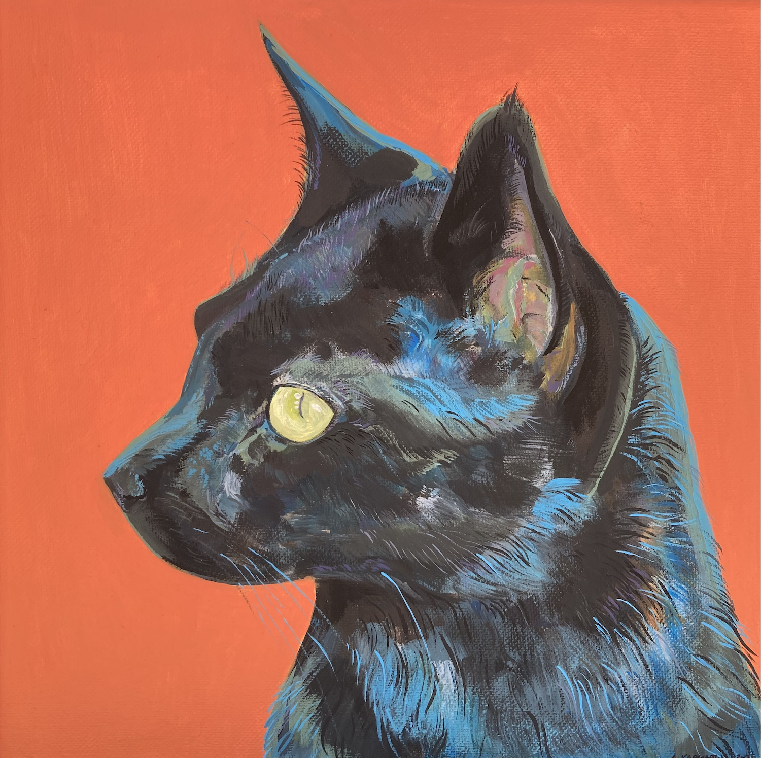 Pet Portraits