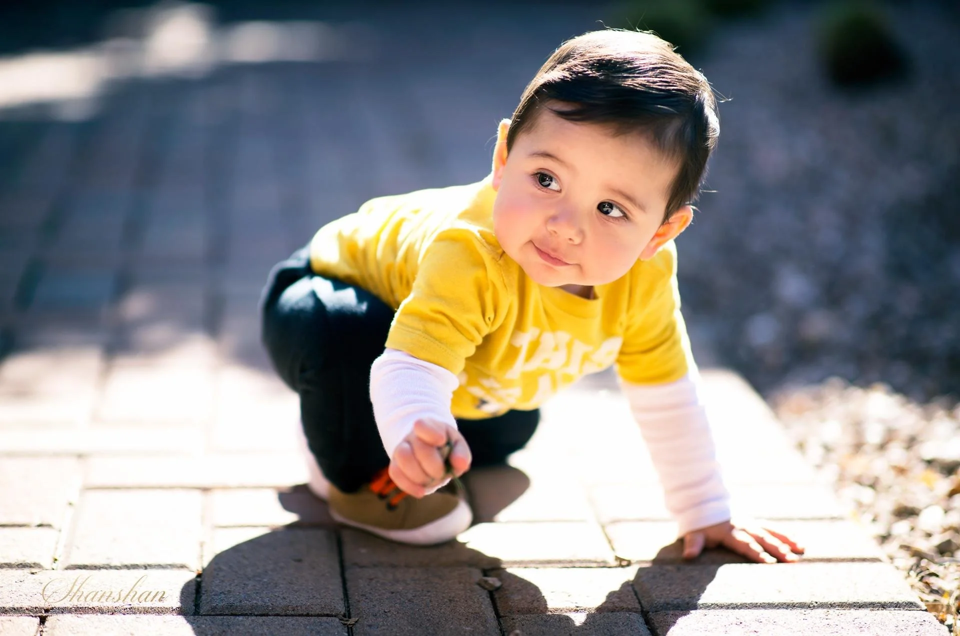 Young child crawling on paved outdoor walkway, wearing a yellow shirt and dark pants, with sunlight casting shadows.